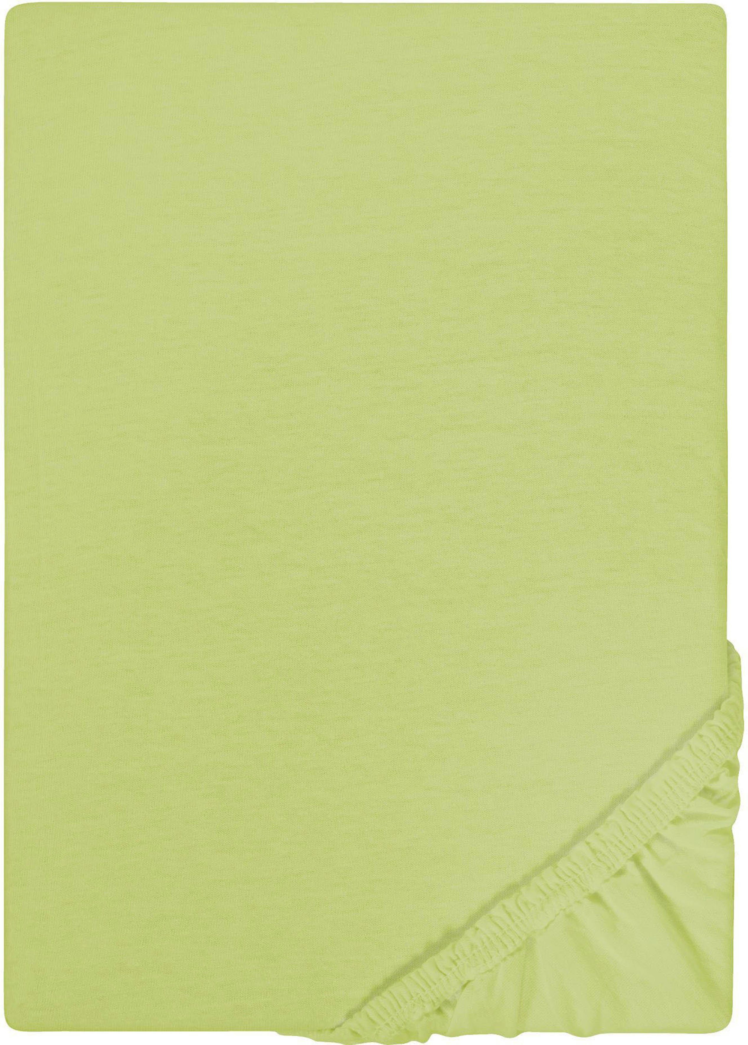 Castell - Markenbettwäsche Spannbettlaken Jersey in Gr. 90x200, 140x200 oder 180x200 cm, Jersey, Gummizug: rundum, (1 Stück), aus Baumwolle, für Matratzen bis 22 cm Höhe, Bettlaken, Spannbetttuch