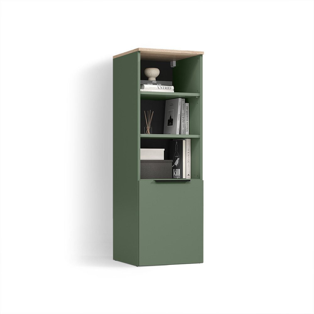 Livinity® Aktenschrank Piave, Grün, mit einer Tür (1-St)
