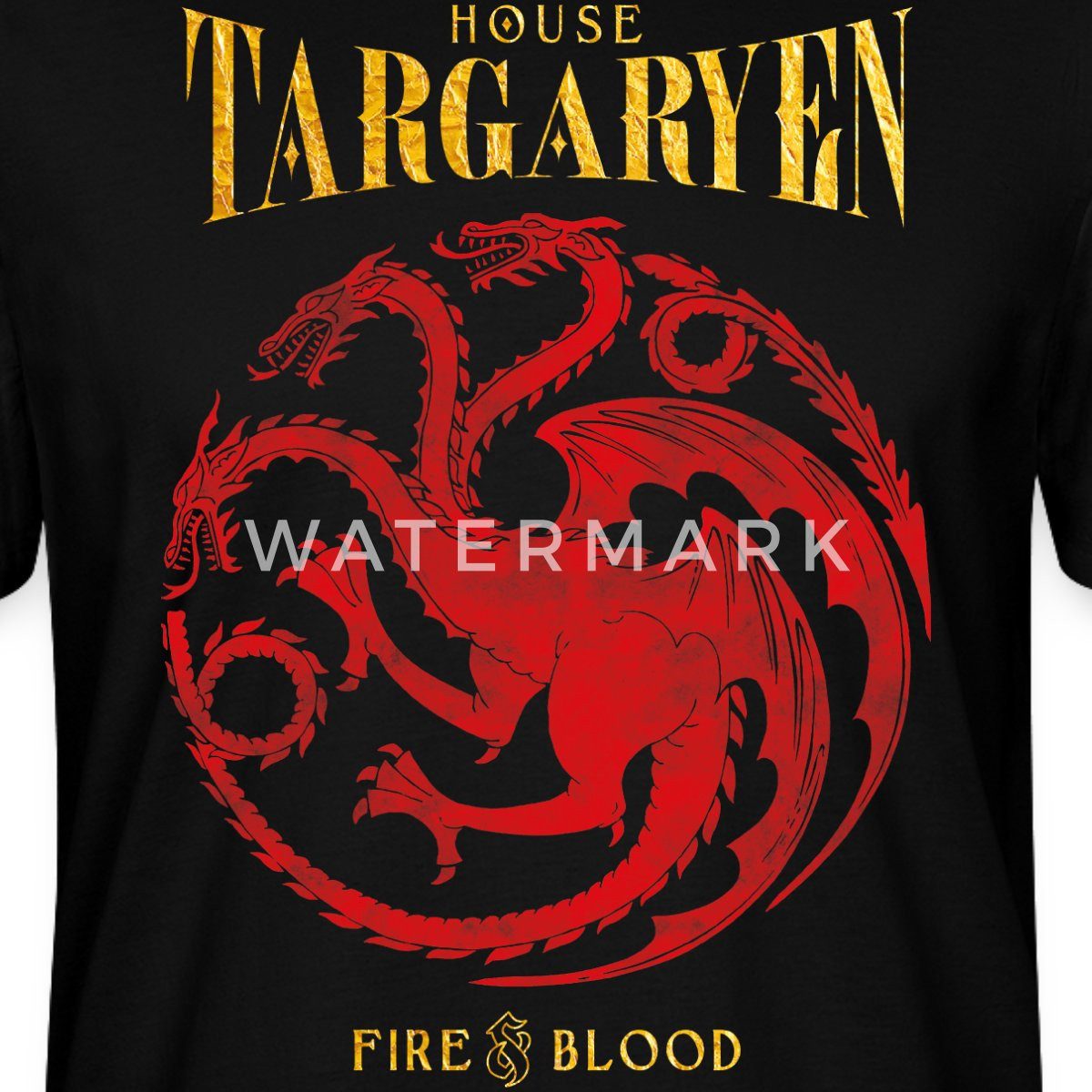 Spreadshirt T-Shirt Game Of Thrones Haus Targaryen Fire & Blood Unisex Bio T-Shirt (1-tlg)