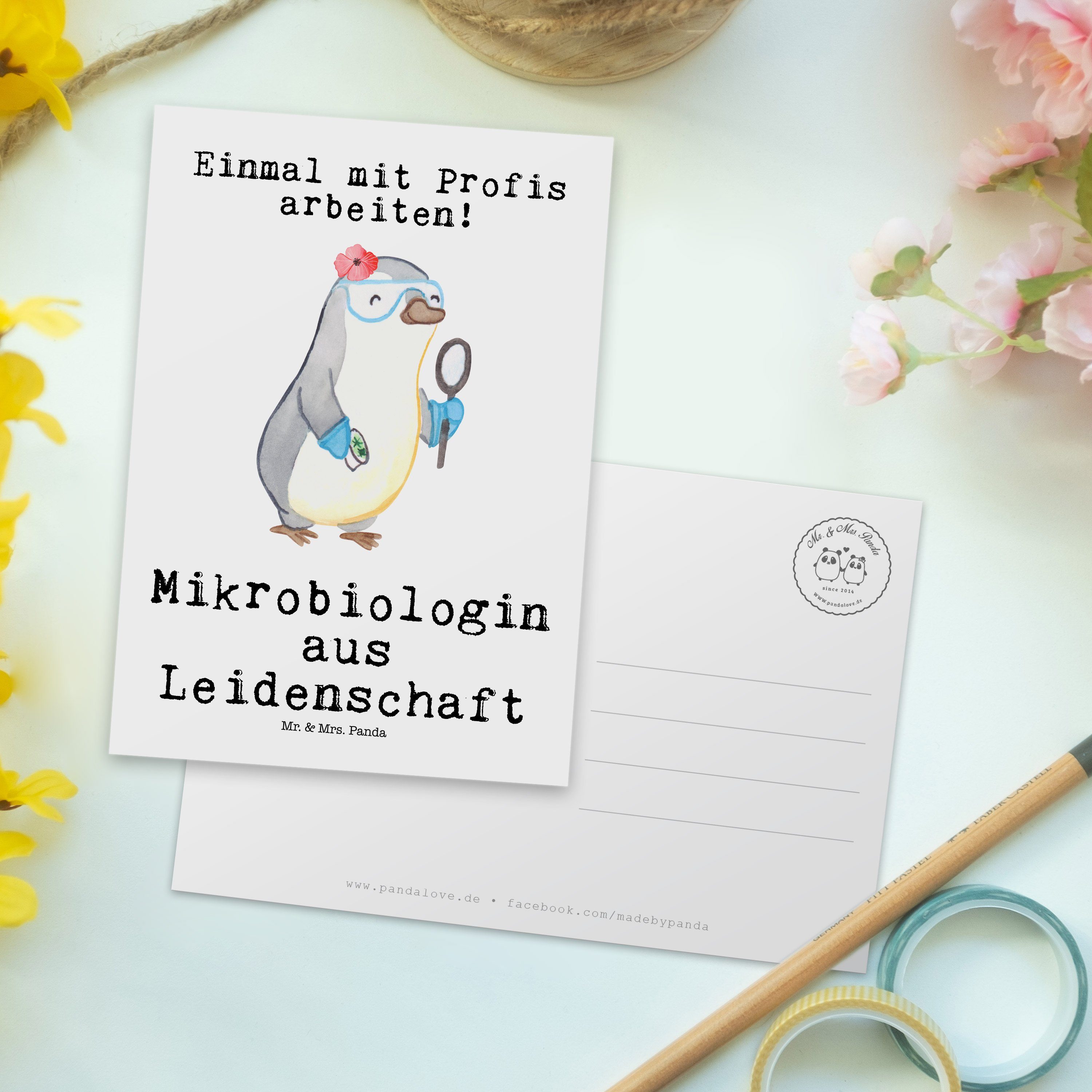 - Geburtst Postkarte - Mrs. Panda Geschenk, Weiß & Leidenschaft Mikrobiologin aus Grußkarte, Mr.
