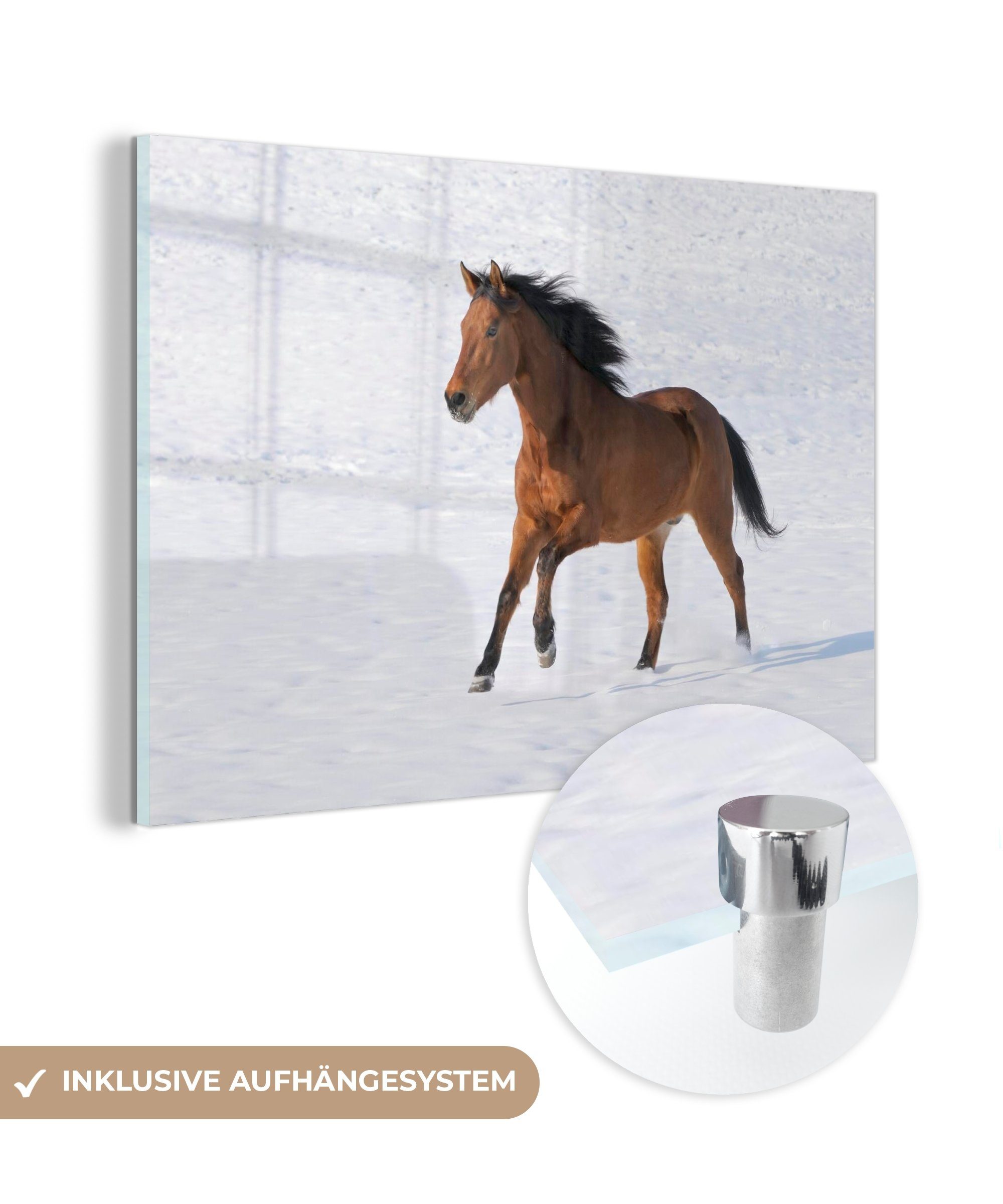 MuchoWow Acrylglasbild Pferde - Schnee - Winter, (1 St), Acrylglasbilder Wohnzimmer & Schlafzimmer