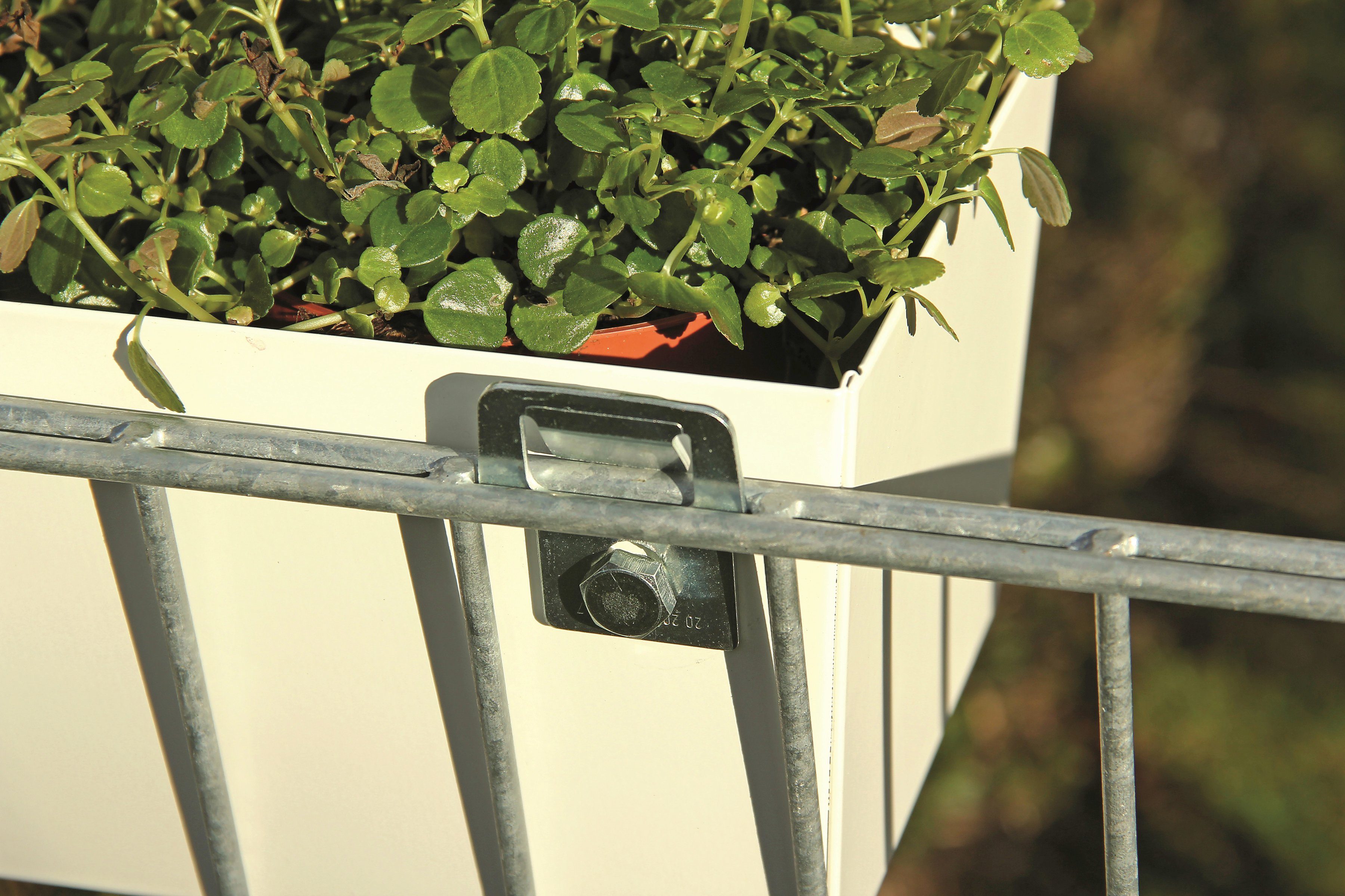 Alberts Zusatzklemmen DSM-Clip, 4 Stück, für Doppelstabmattenzaun