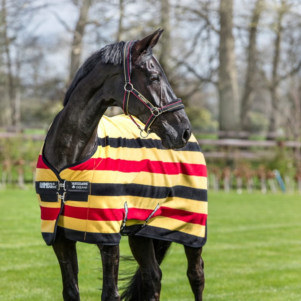 Horseware Pferde-Abschwitzdecke Horseware Rambo Deluxe Fleece - Witney Gold