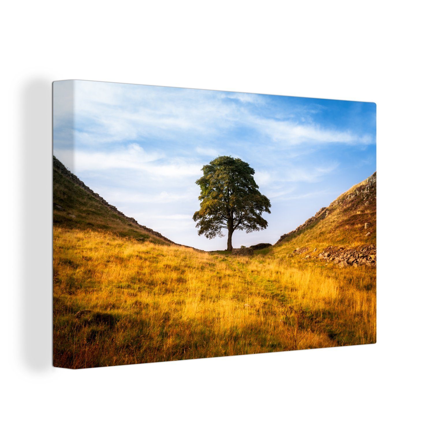 OneMillionCanvasses® Leinwandbild Platane Gap Tree am Hadrianswall, (1 St), Wandbild Leinwandbilder, Aufhängefertig, Wanddeko, 30x20 cm