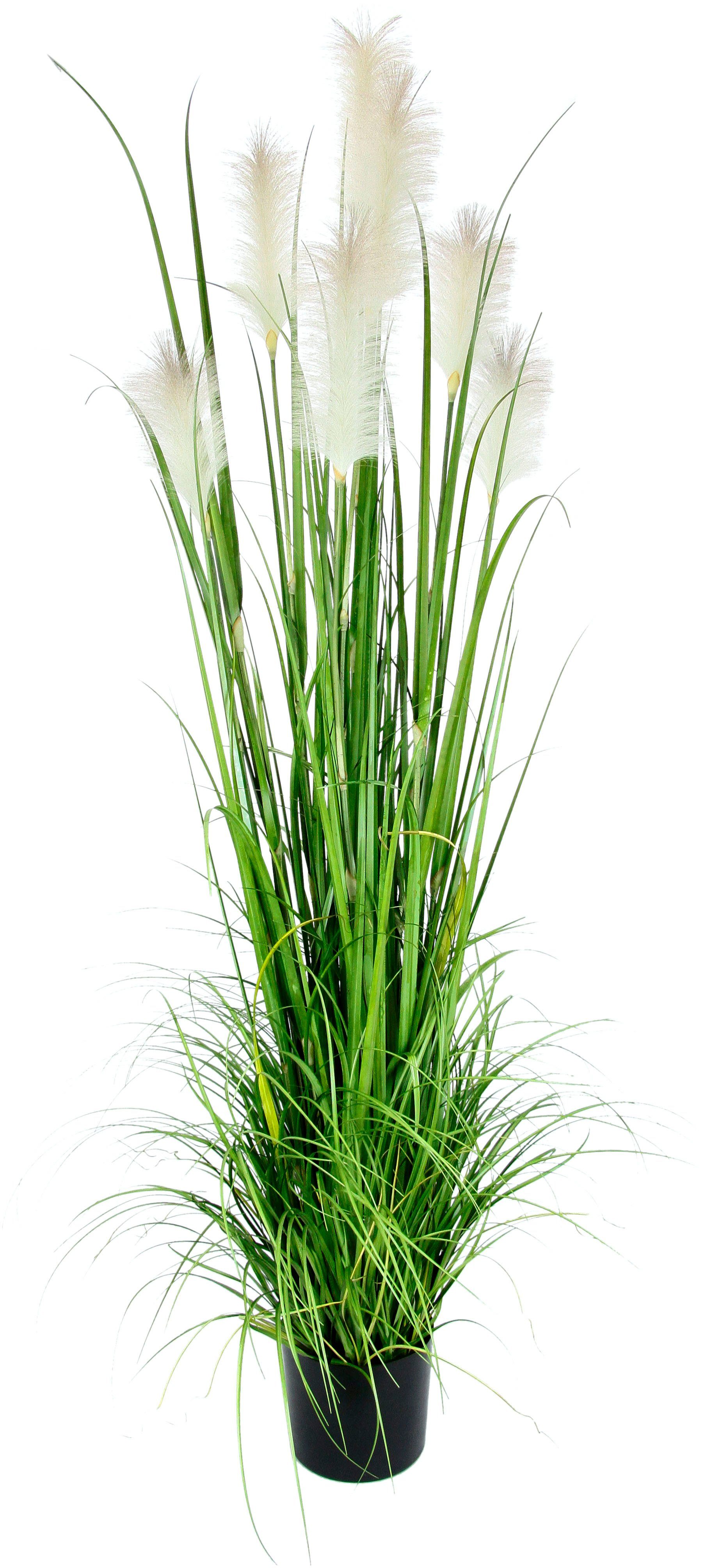 Kunstgras Pampasgras, I.GE.A., Höhe 180 cm, günstig online kaufen