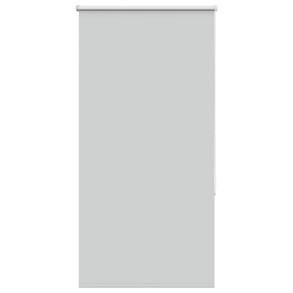 Rollo Verdunkelungsrollo Hellgrau 85x175 cm Stoffbreite günstig online kaufen