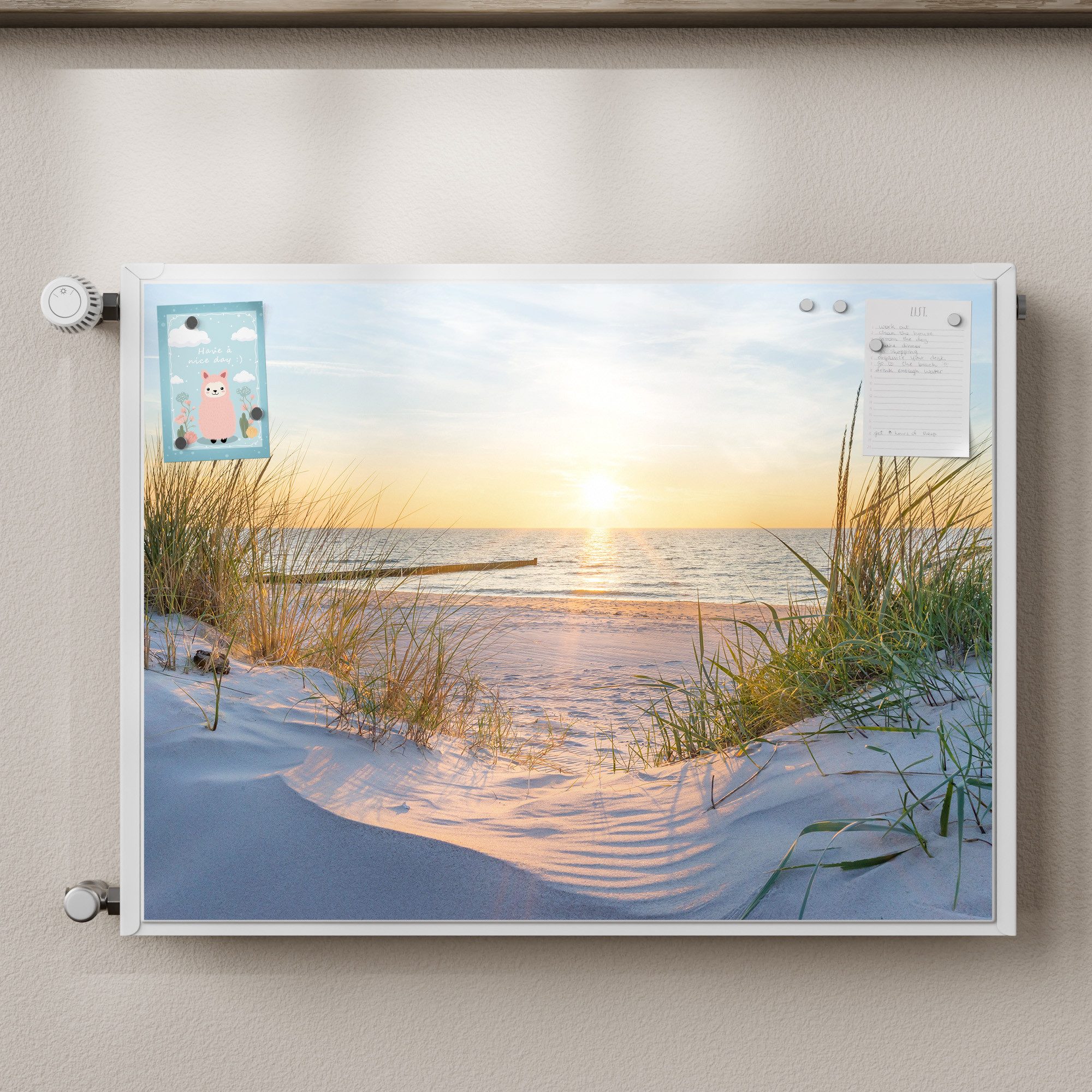 DEQORI Magnetfolie 'Abendsonne an der Ostsee', beschreibbar Heizung Magnetmatte magnetisch Magnetfolie