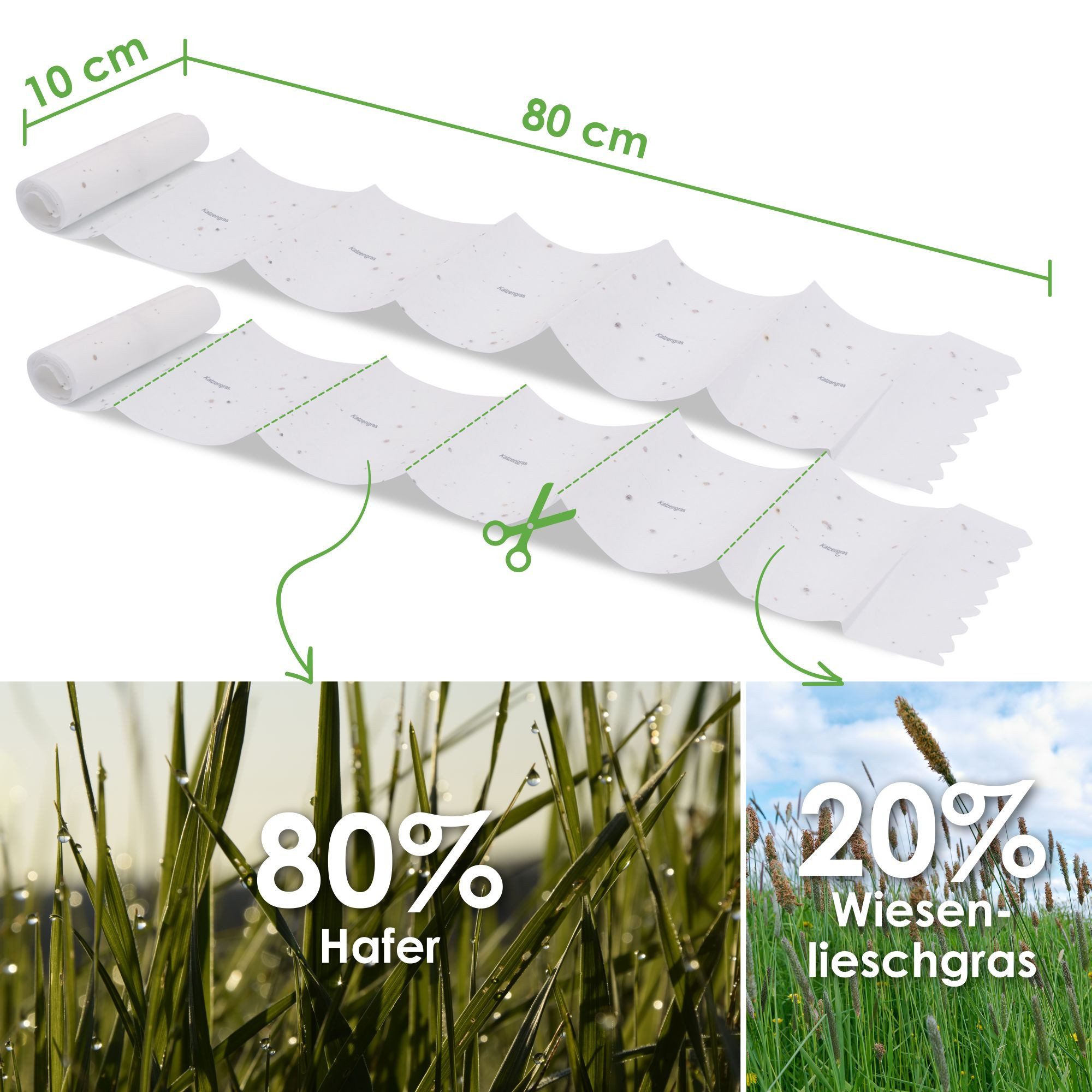 HappySeed Blumensamen Katzengras Samen Saatband 80 x 10 cm, Saatgut – Bild 3 von 5