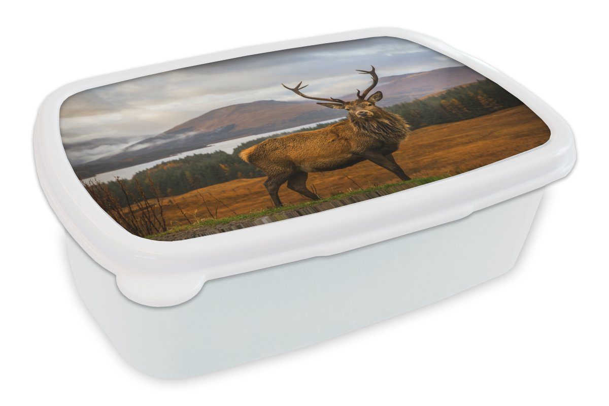 MuchoWow Lunchbox Hirsche - Berge - Wasser - Landschaft - Tiere - Bäume, Kunststoff, (2-tlg), Brotbox für Kinder und Erwachsene, Brotdose, für Jungs und Mädchen weiß