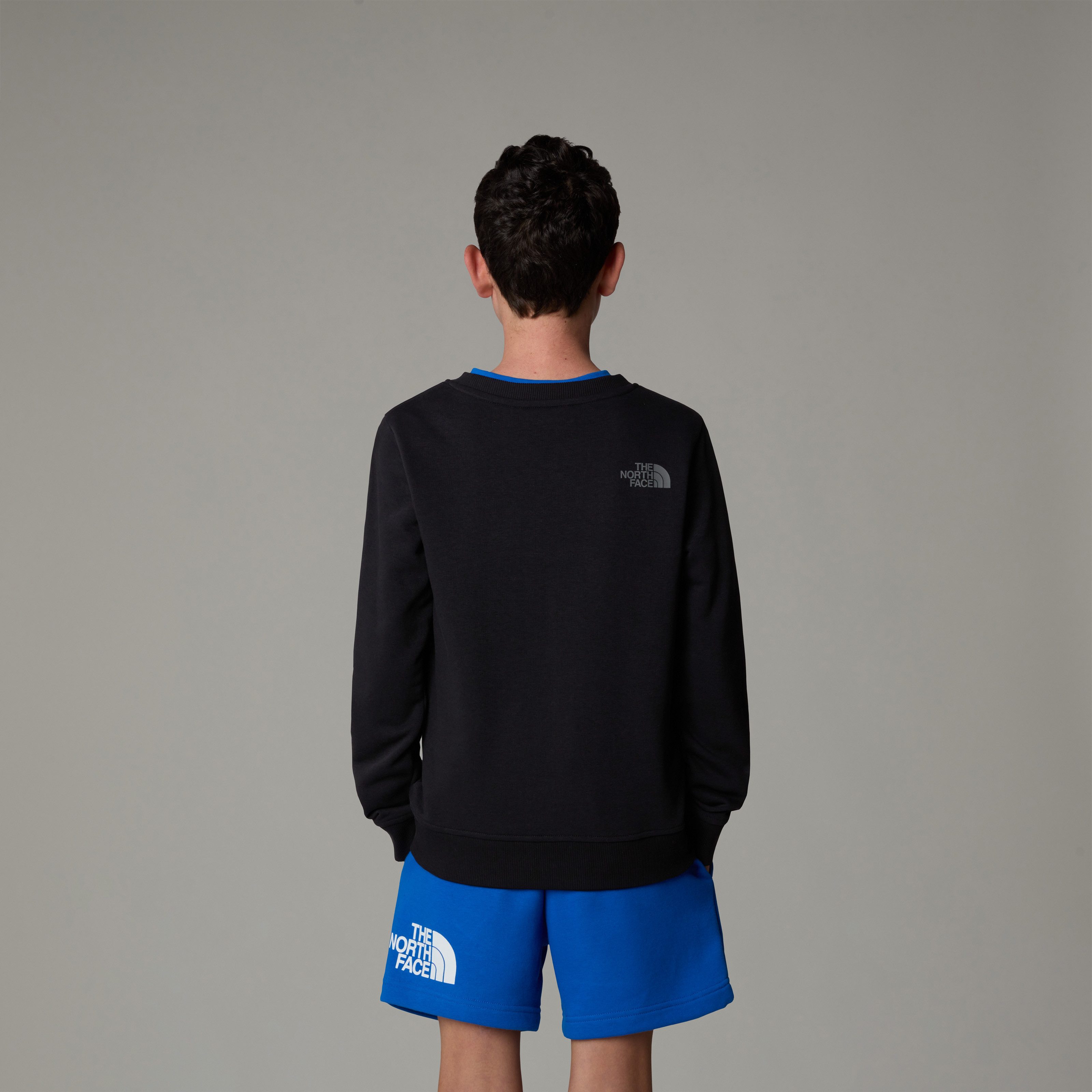 The North Face Sweatshirt Drew Peak günstig online kaufen