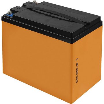 Green Cell LiFePO4 486 Wh Battery Lithium-Eisen-Phosphat-Akku 38 Ah Batterie, (12.8 V), Spannung 12.8V, Spitzenentladestrom: 150A