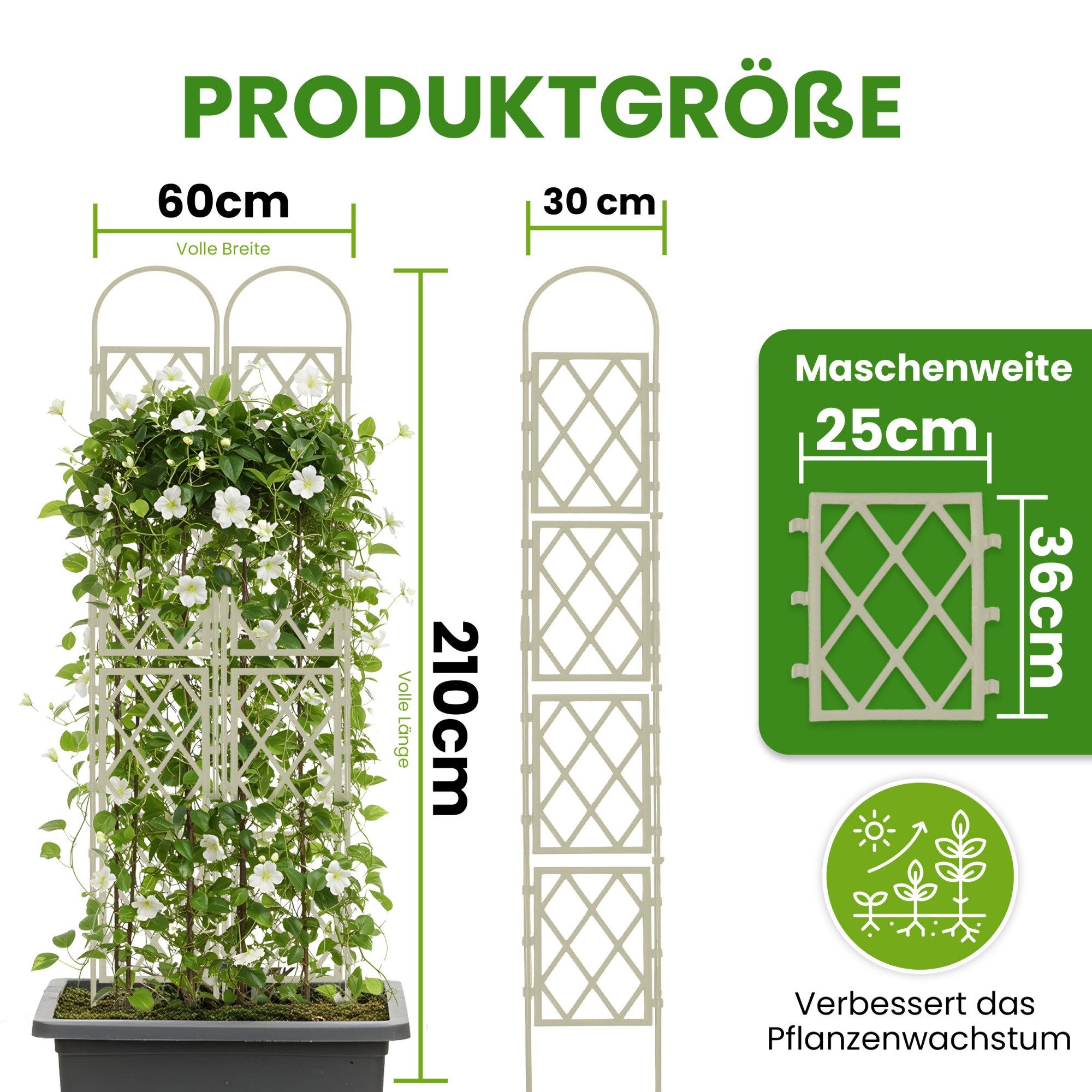 Gartenwelt Riegelsberger Rankhilfe Wandspalier mit Bogen günstig online kaufen