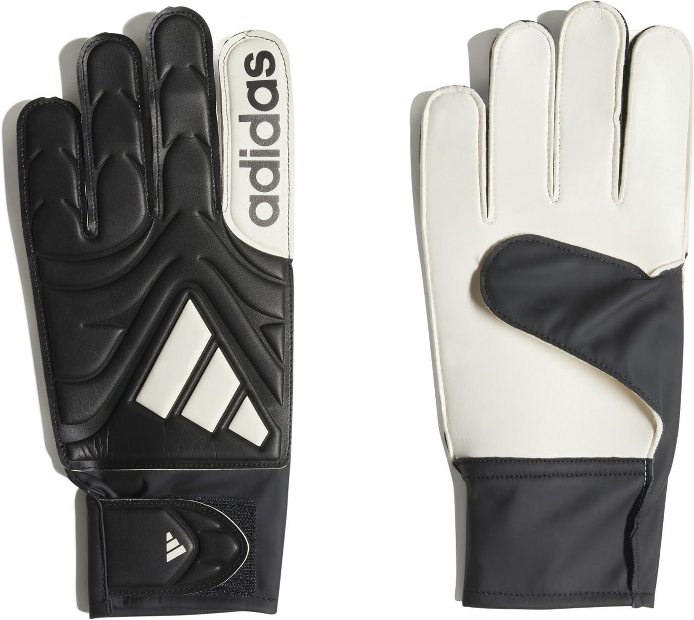 adidas Sportswear Torwarthandschuhe COPA GL CLB BLACK/WHITE