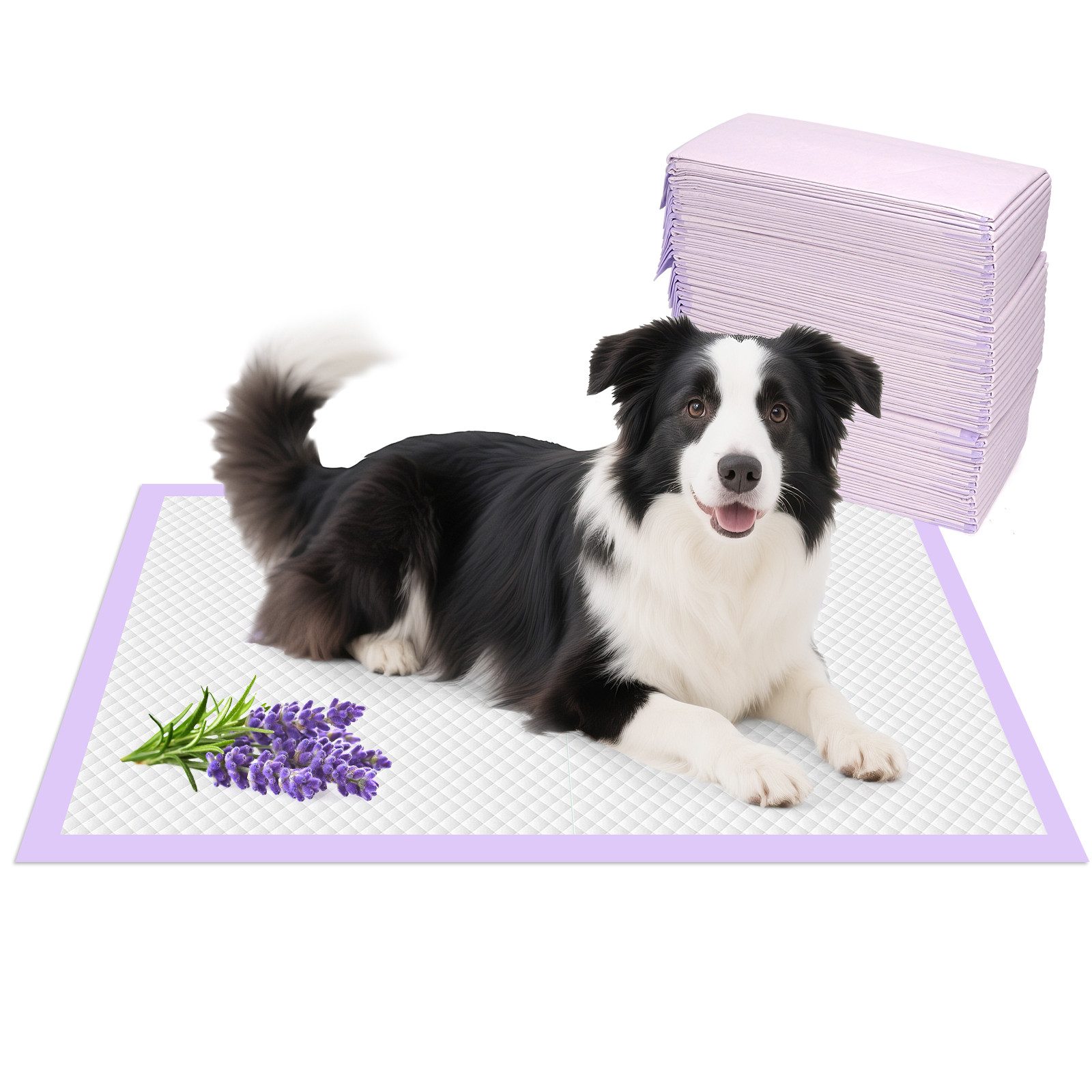 nobleza Hundewindel Welpenunterlage 90x60cm mit Lavendelduft Reduziert Gerüche 50 Stk