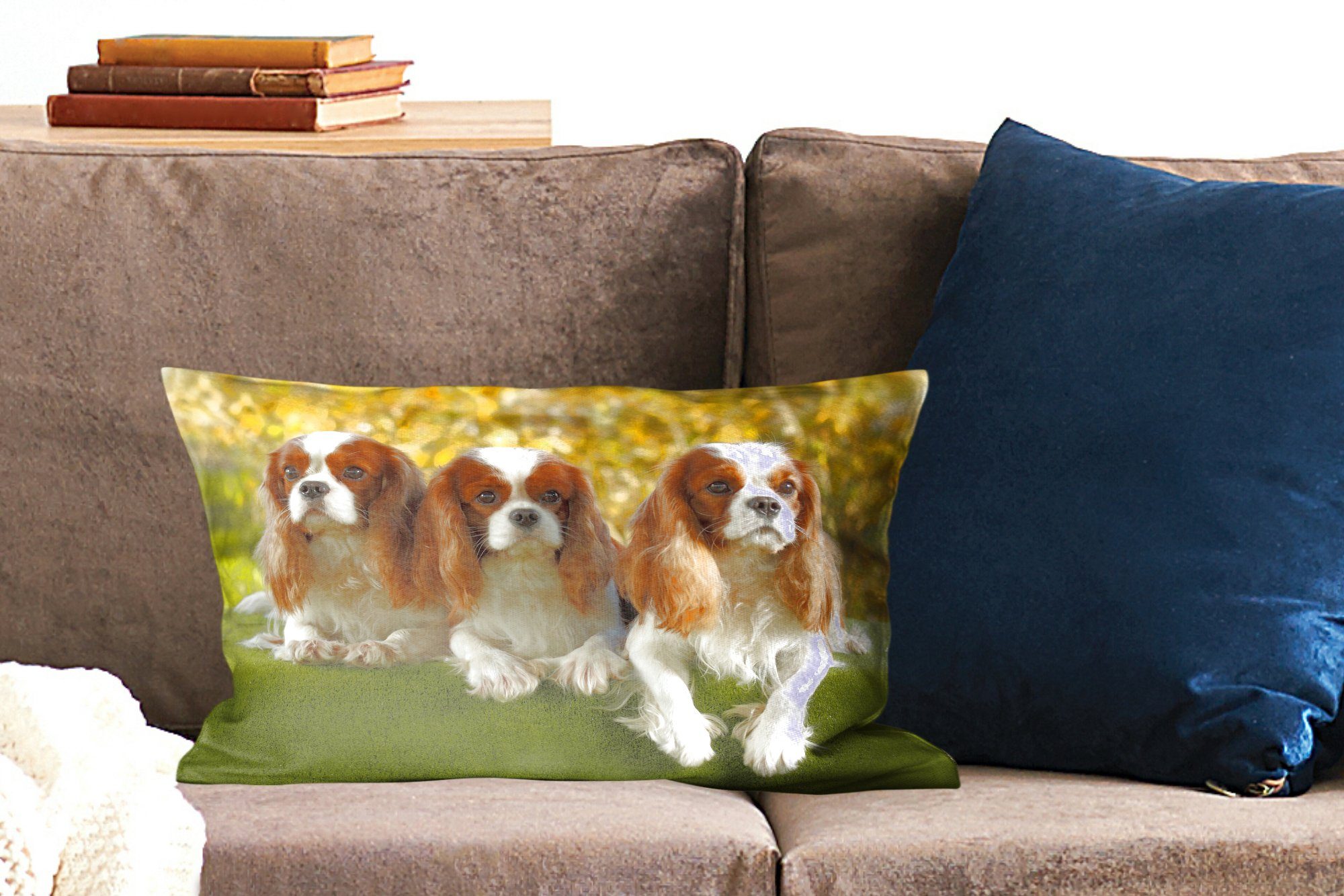 Drei Dekokissen King Cavalier Wohzimmer Füllung, Charles Schlafzimmer Spaniels schöne nebeneinander, Dekoration, mit MuchoWow Zierkissen, Dekokissen