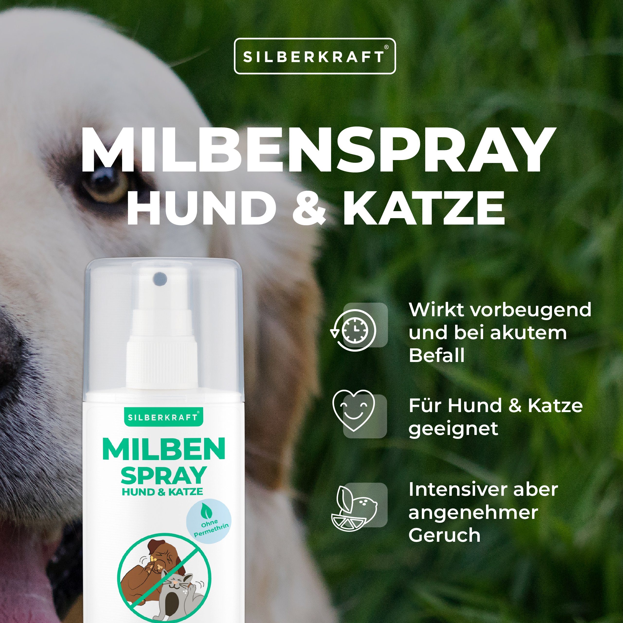 Silberkraft Insektenspray Milbenspray für Hunde & 100 1-St. ml, Katzen