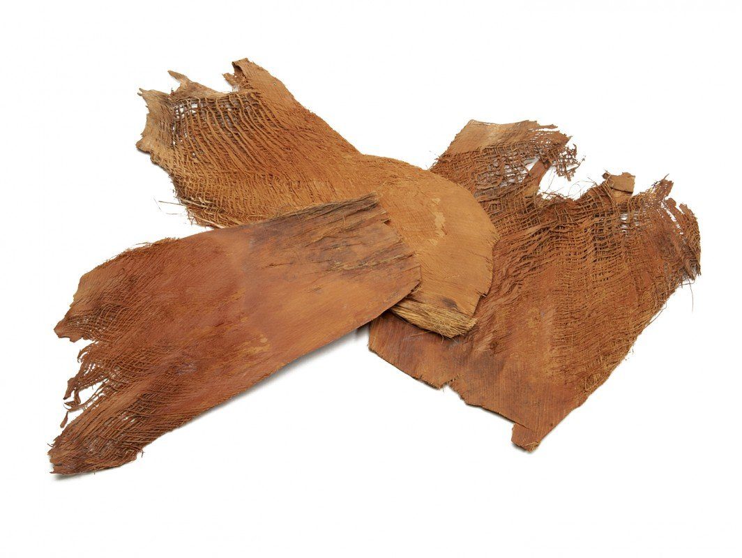 Bastelnaturmaterial Palmenrinde natur 150g Palmenfaser