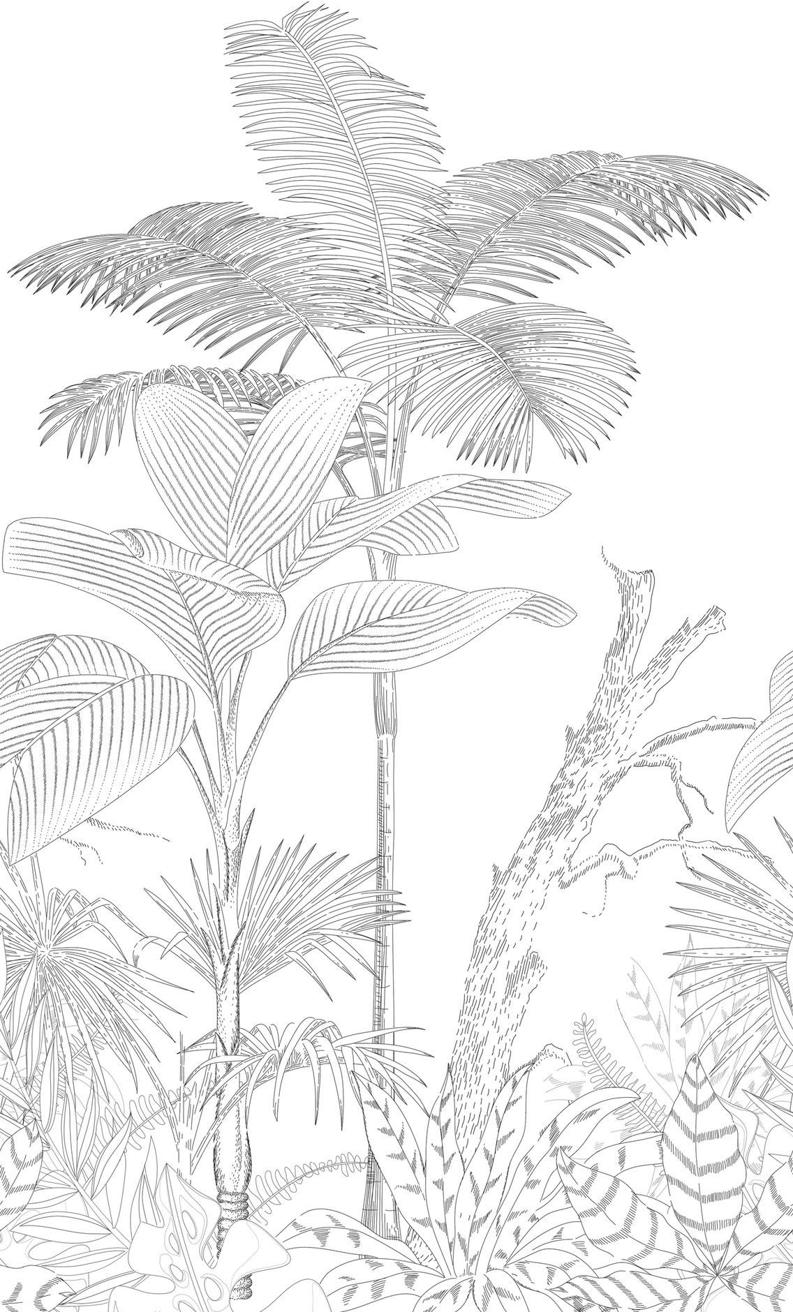 glatt, matt, Zeichnung, Schwarz-Weiß St), Fototapete Dschungeltapete (1 walls living Fototapete