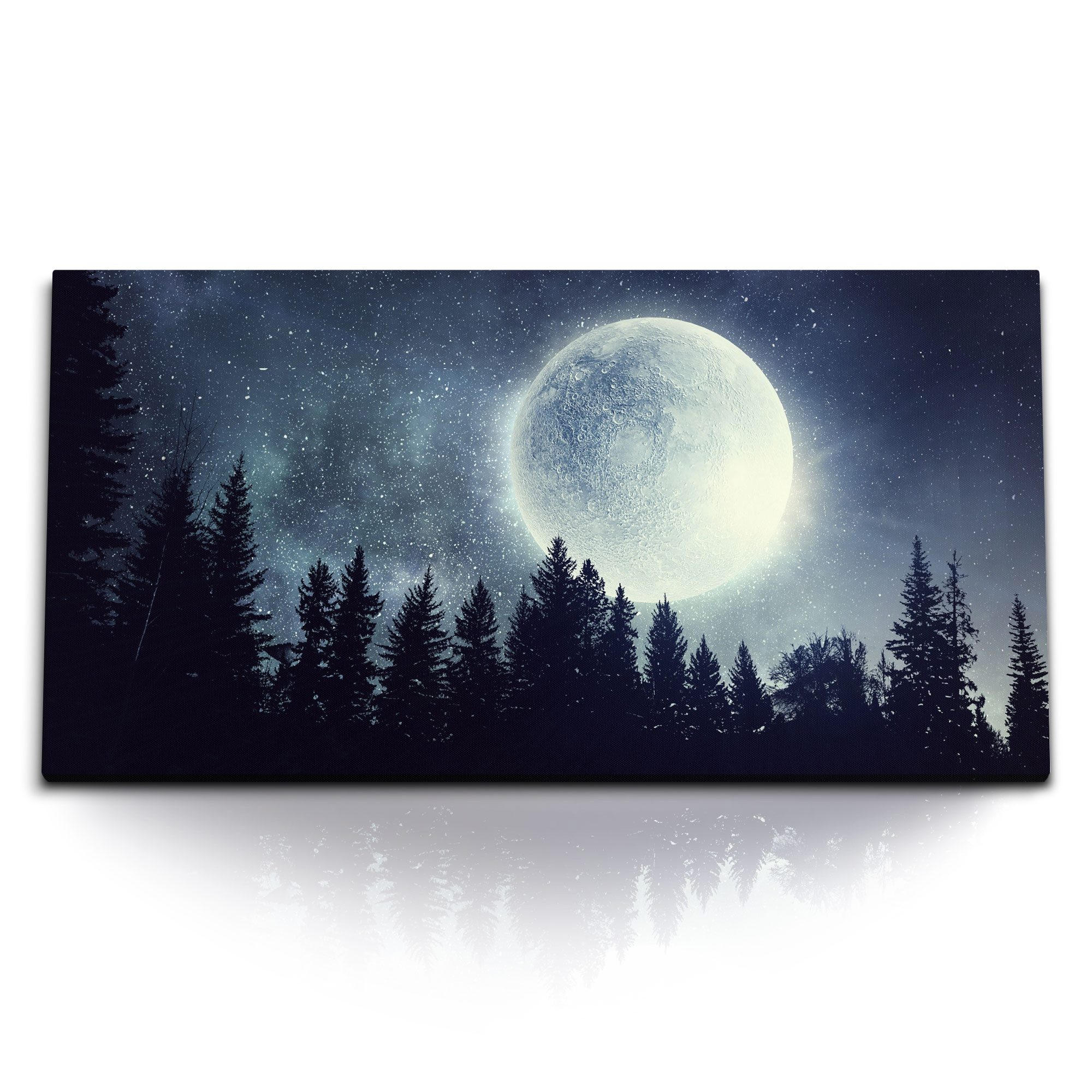 Leinwandbild Kunstdruck Bilder 120x60cm Vollmond Mond Sterne Sternenhimmel Tannenwa
