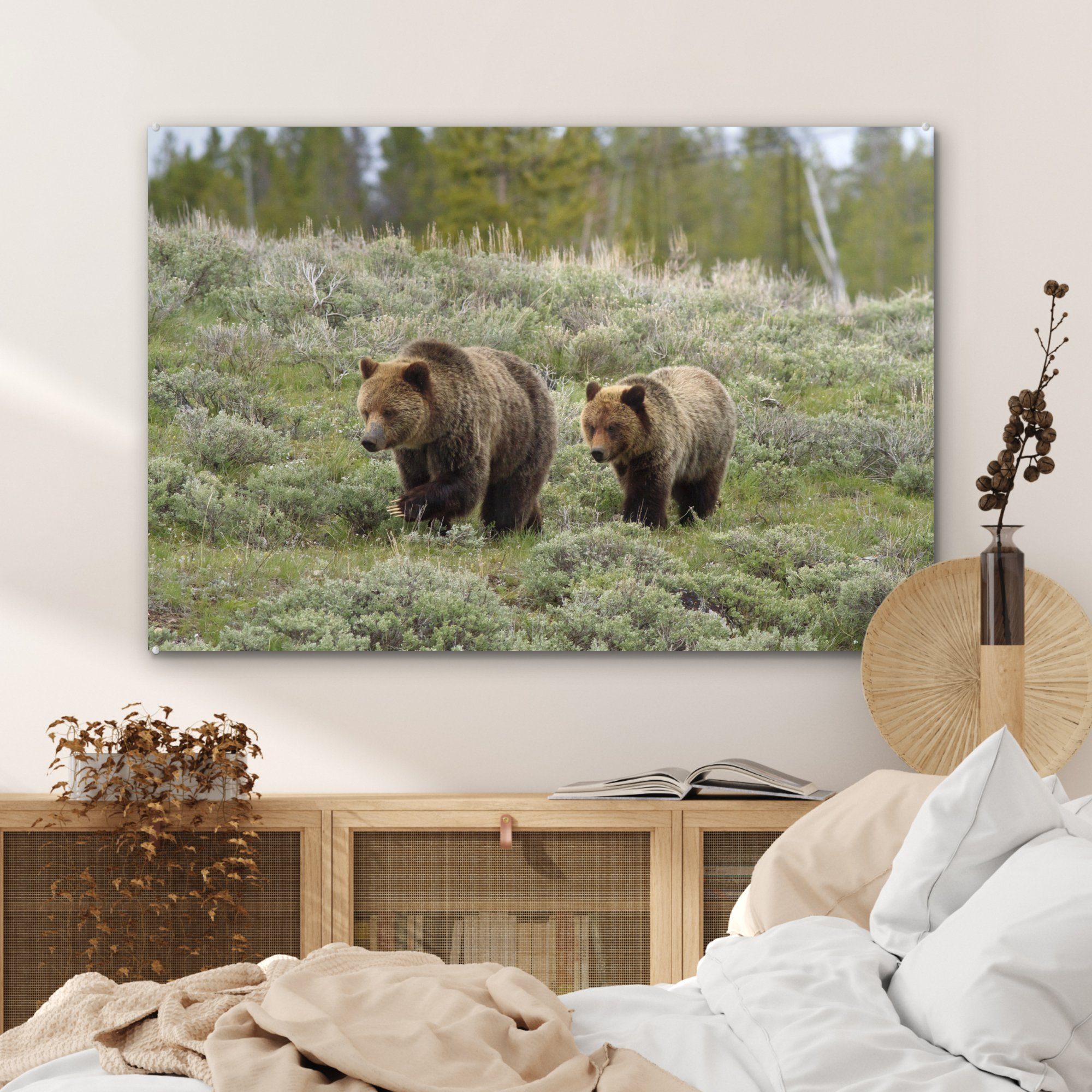 Bär St), MuchoWow Schlafzimmer Wohnzimmer Acrylglasbilder Acrylglasbild - Gras, Yellowstone & - (1