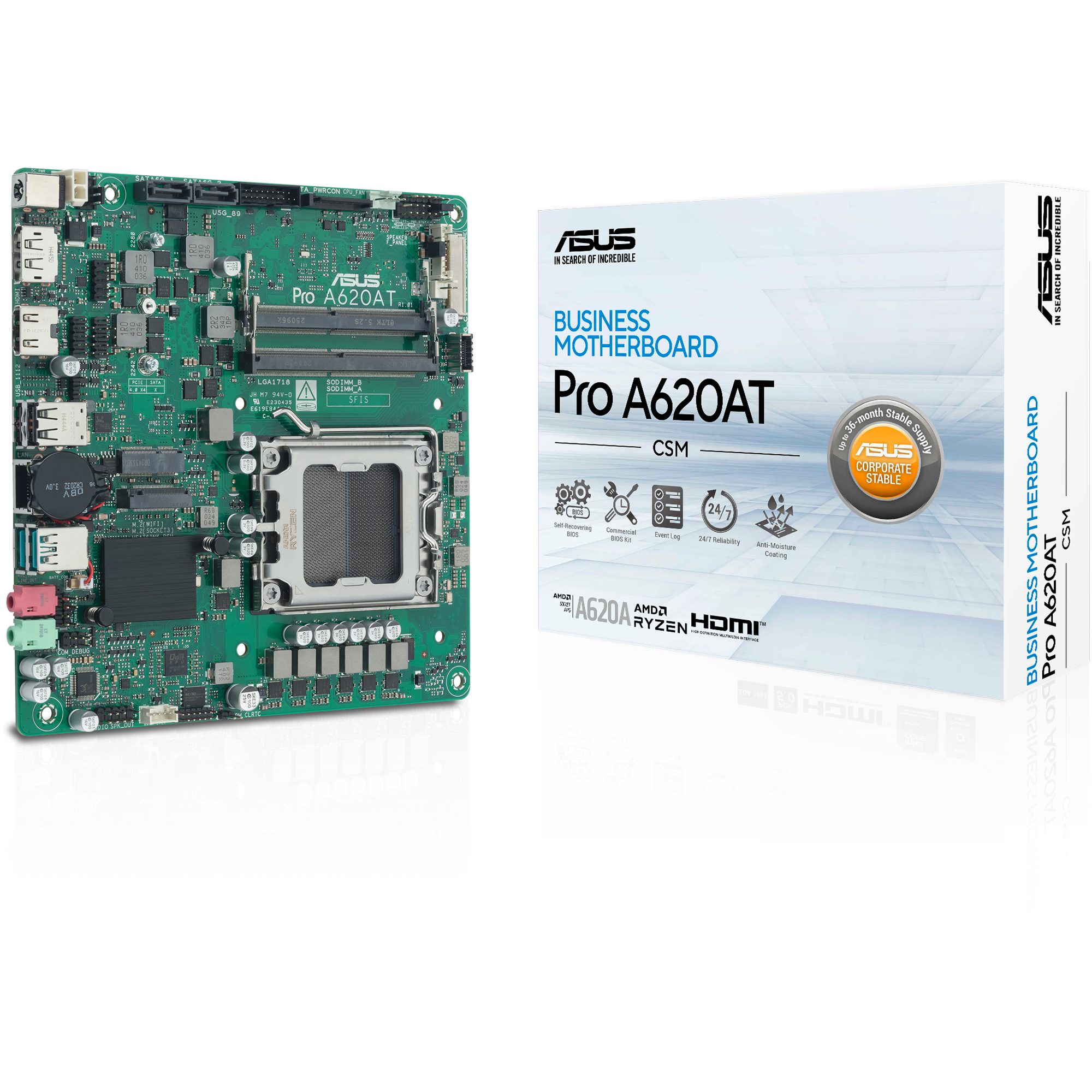 Asus ASUS PRO A620AT-CSM, Mainboard Mainboard