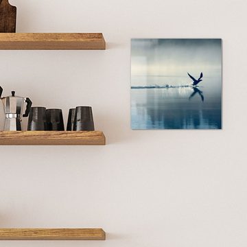 DEQORI Magnettafel 'Vogel landet auf Wasser', Whiteboard Pinnwand beschreibbar