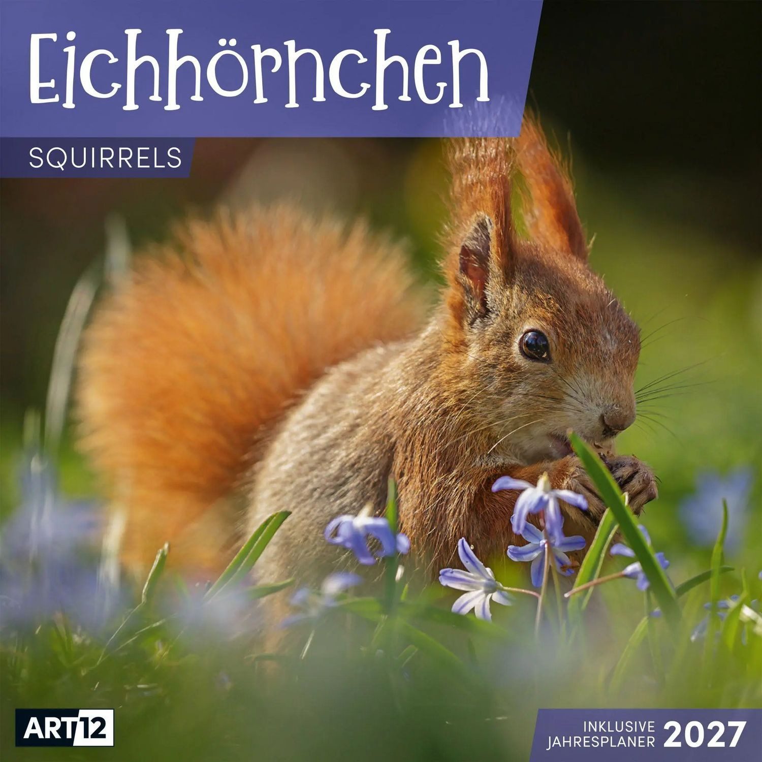 Ackermann Wandkalender Eichhörnchen Kalender 2027 - 30x30 - Art12