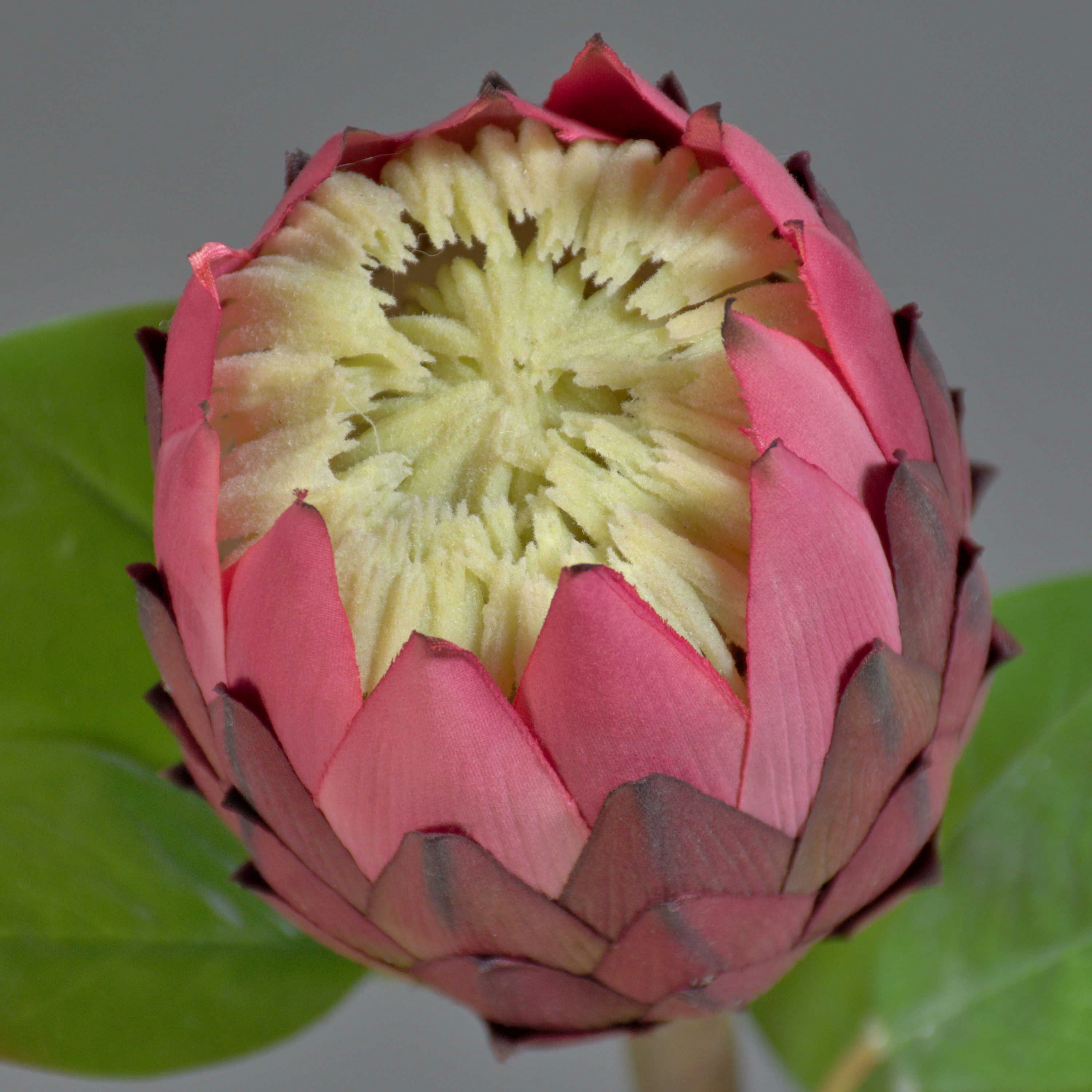 Kunstblume Dekoblume Protea AZHEN, violett, 65 cm Protea (Nadelkissen Protea), artplants, Höhe 65.0 cm