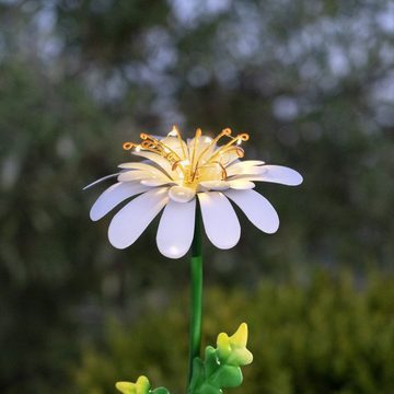 STAR TRADING LED Solarleuchte LED Gartenleuchte Gänseblümchen Solarstab 10 Dew Drop LED 77cm Sensor, LED Classic, warmweiß (2100K bis 3000K)