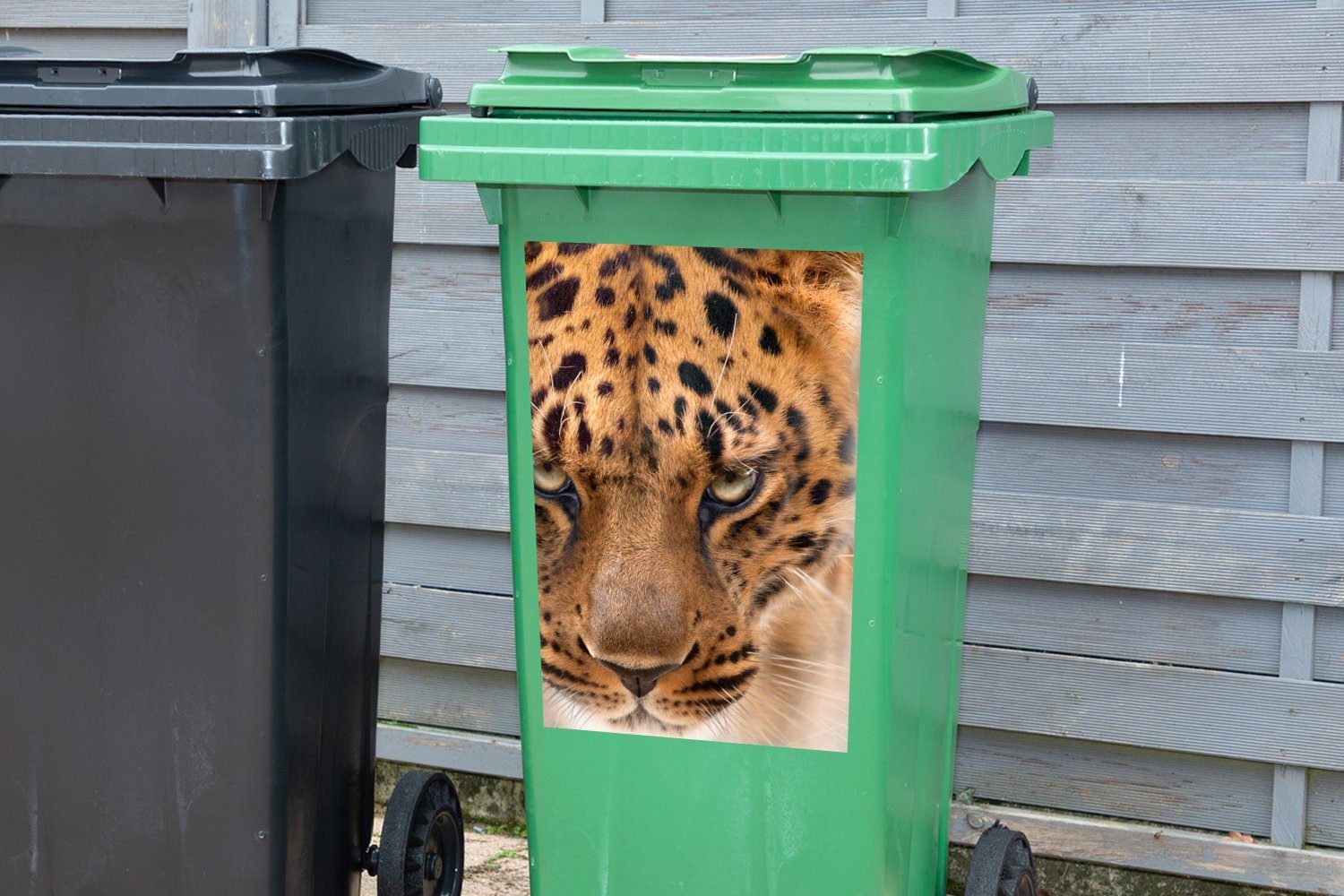 MuchoWow Wandsticker Leopard - Sticker, Mülltonne, St), Abfalbehälter Porträt (1 Container, Mülleimer-aufkleber, - Gesicht