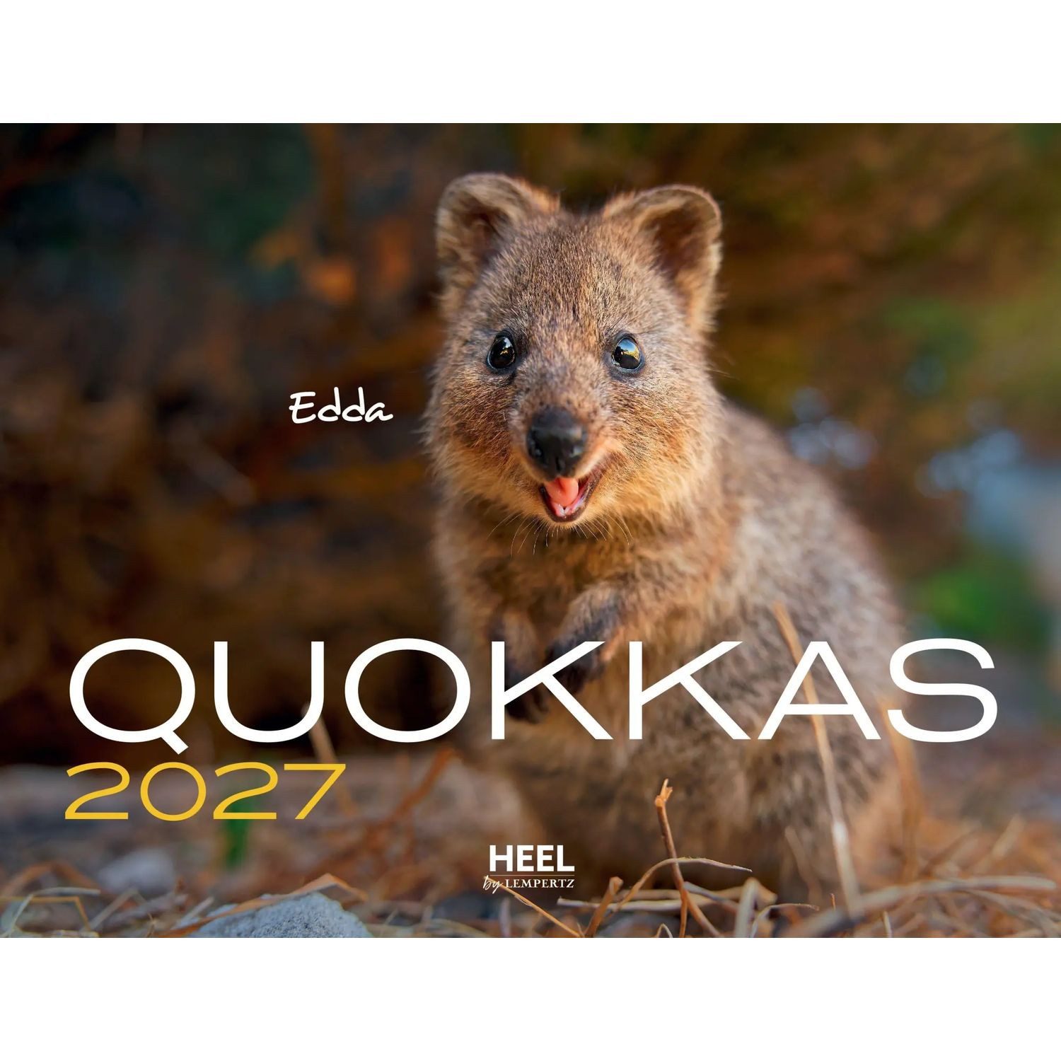 Edition Lempertz Familienkalender Quokkas 2027 Eintragkalender