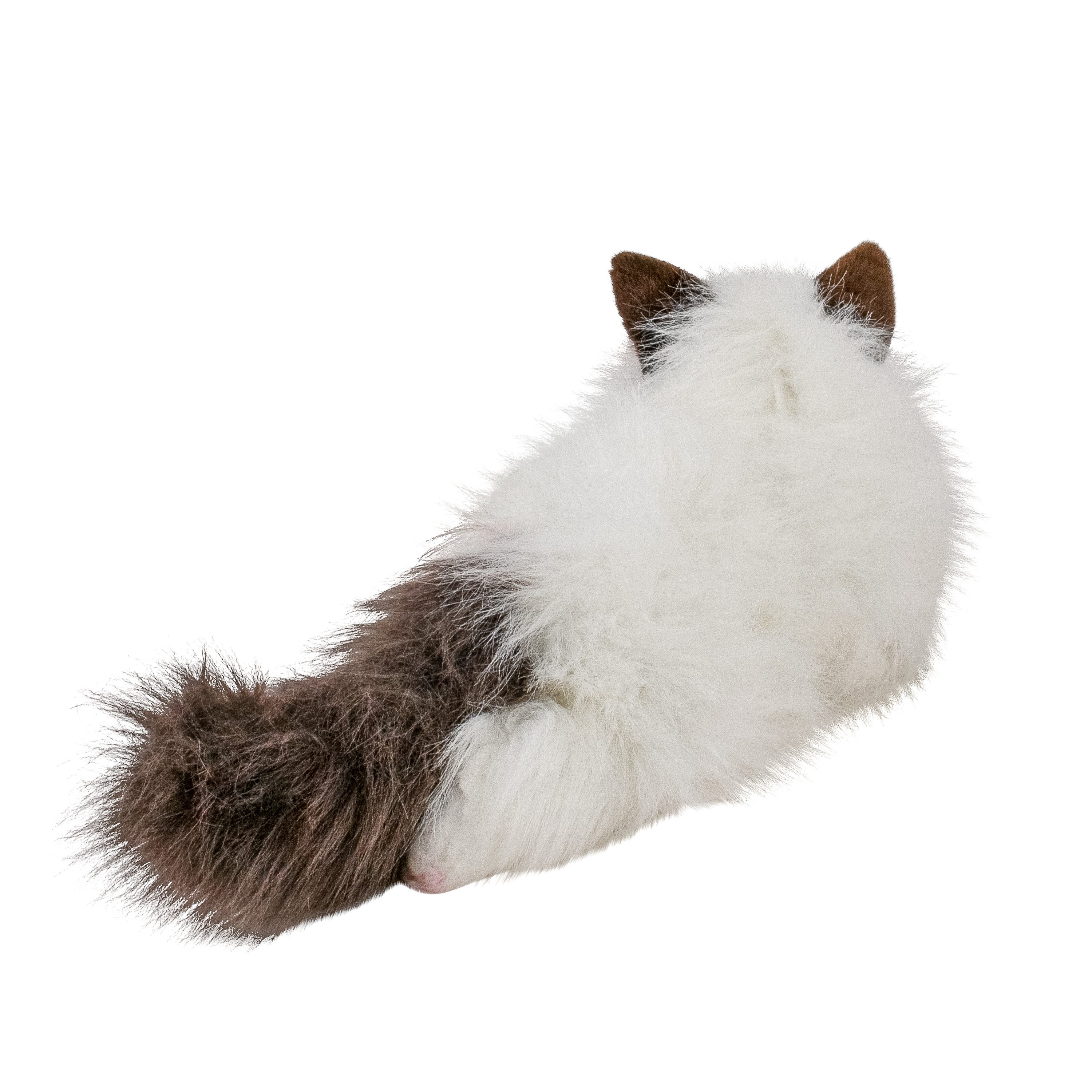 Teddys Rothenburg Kuscheltier Katze Ragdoll weiß/schwarz 35 cm Plüschkatze