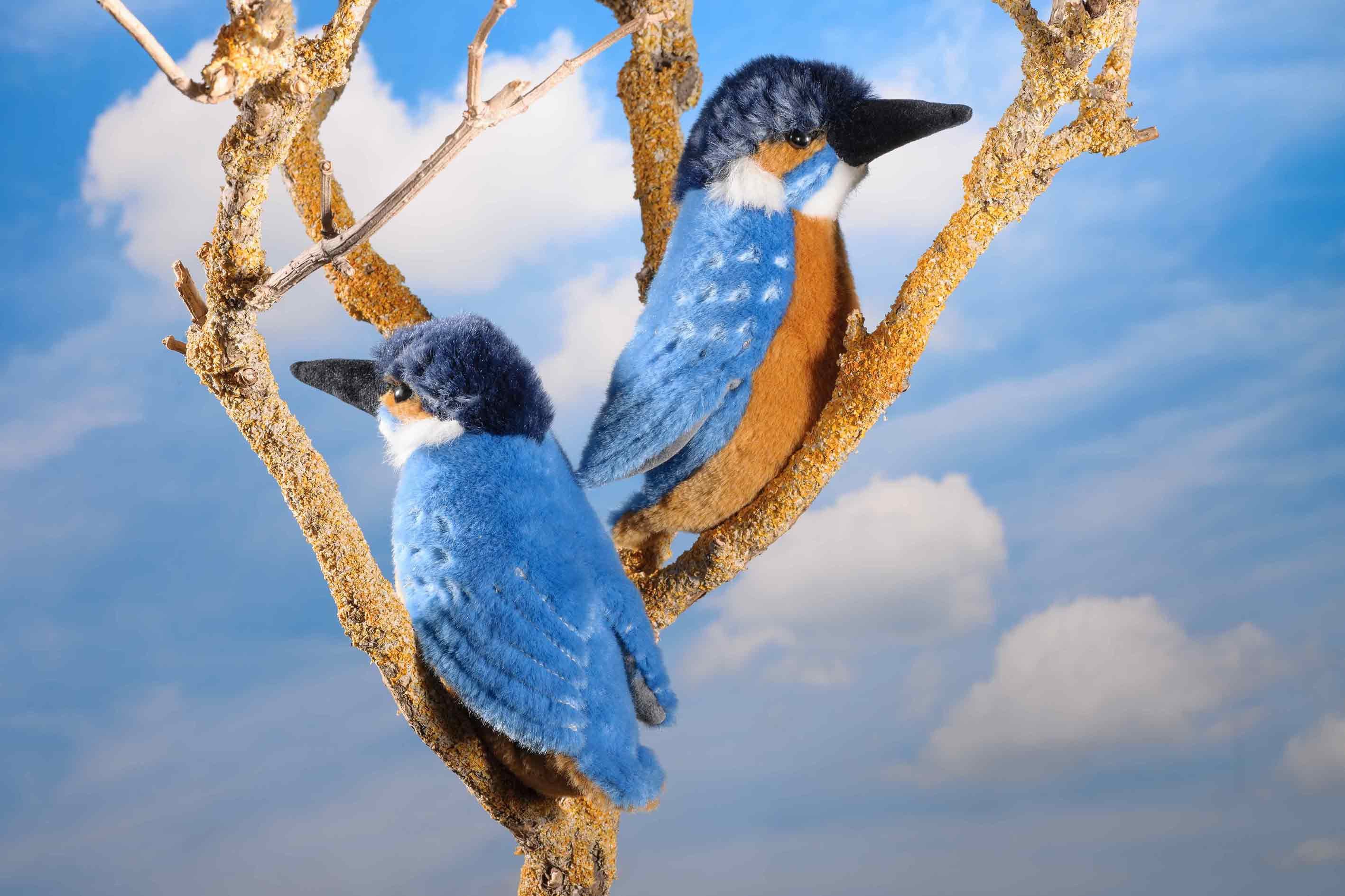 Kösen Kuscheltier Kösen Eisvogel blau/orange 16 cm Stofftier