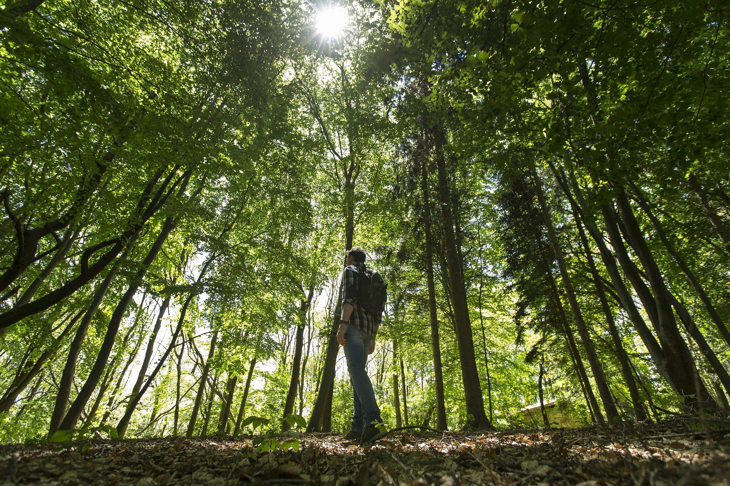 Grisport Outdoorhalbschuh "Sella" Jagdhalbschuh Freizeitschuh wasserabweisend Outdoorschuh