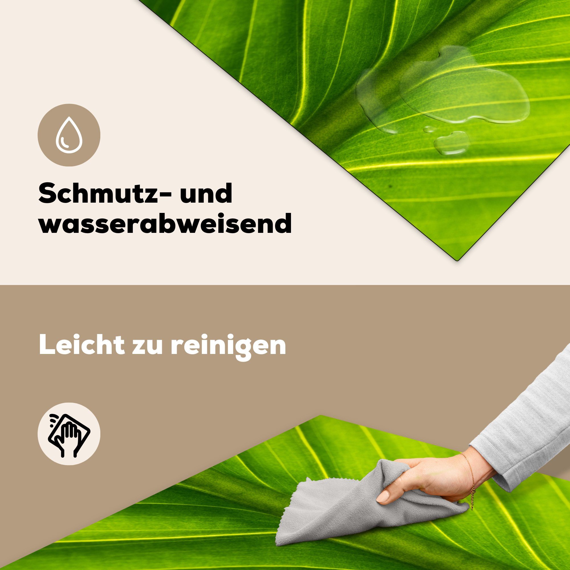 MuchoWow für küche Ceranfeldabdeckung, eines Arbeitsplatte Vinyl, cm, (1 Herdblende-/Abdeckplatte Foto botanischen tlg), 78x78 Blattes, hellgrünen