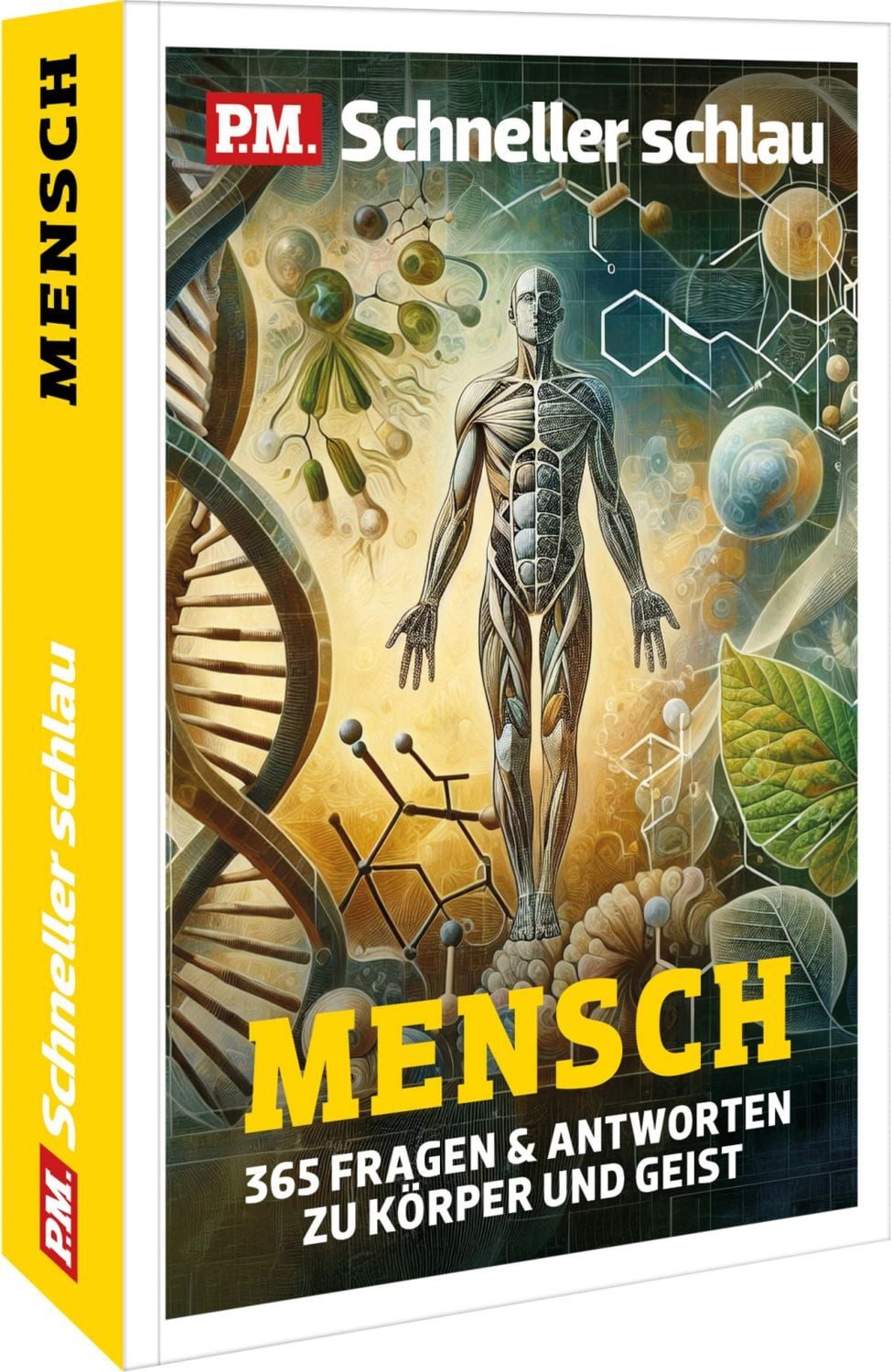 P.M. Schneller Schlau MENSCH / Katharina Jakob, Minerva Fois, Angelika Franz, Elena Rudolph, Rainer Harf, 365 Fragen zu Körper & Geist