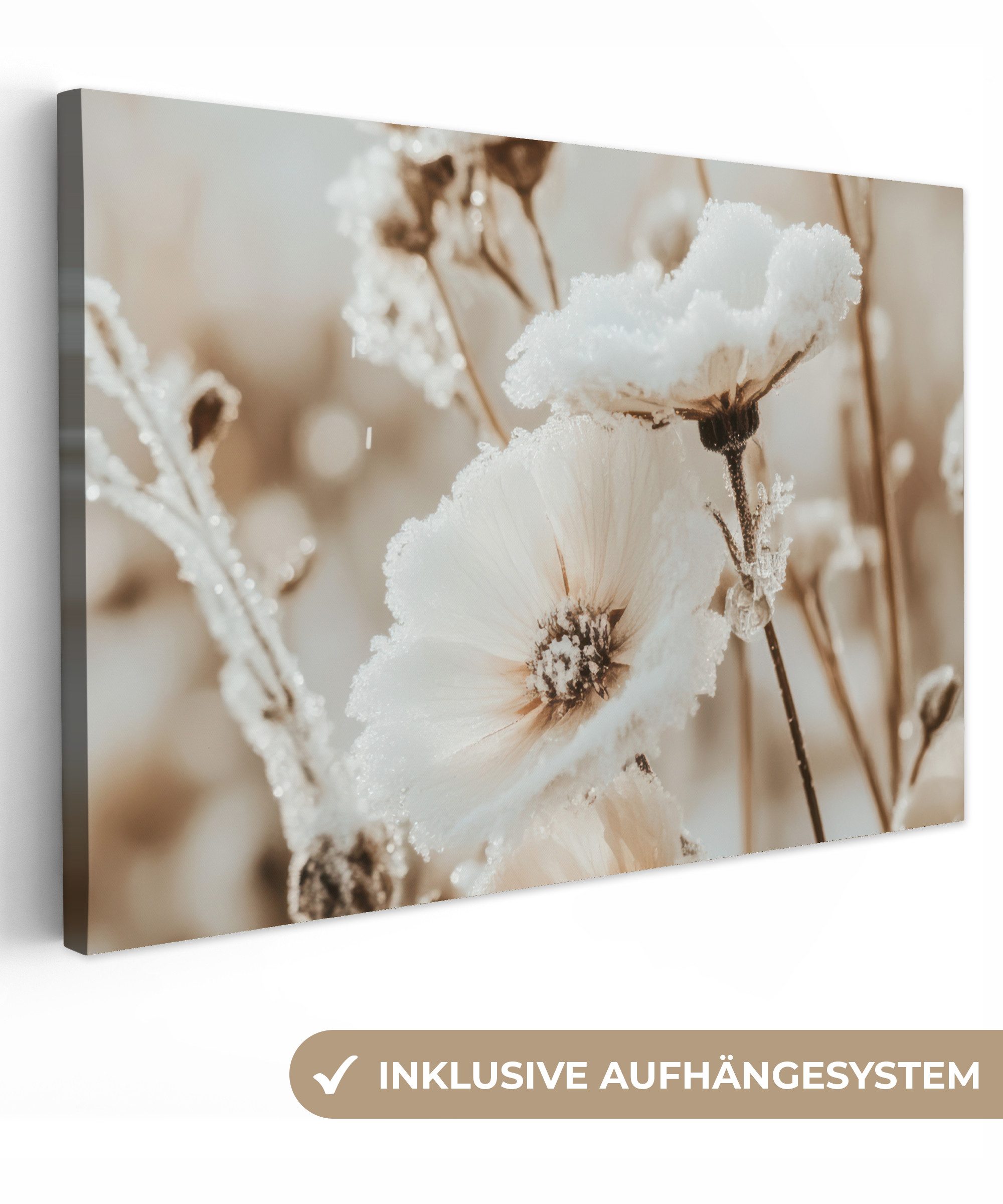OneMillionCanvasses® Leinwandbild Blumen - Winter - günstig online kaufen
