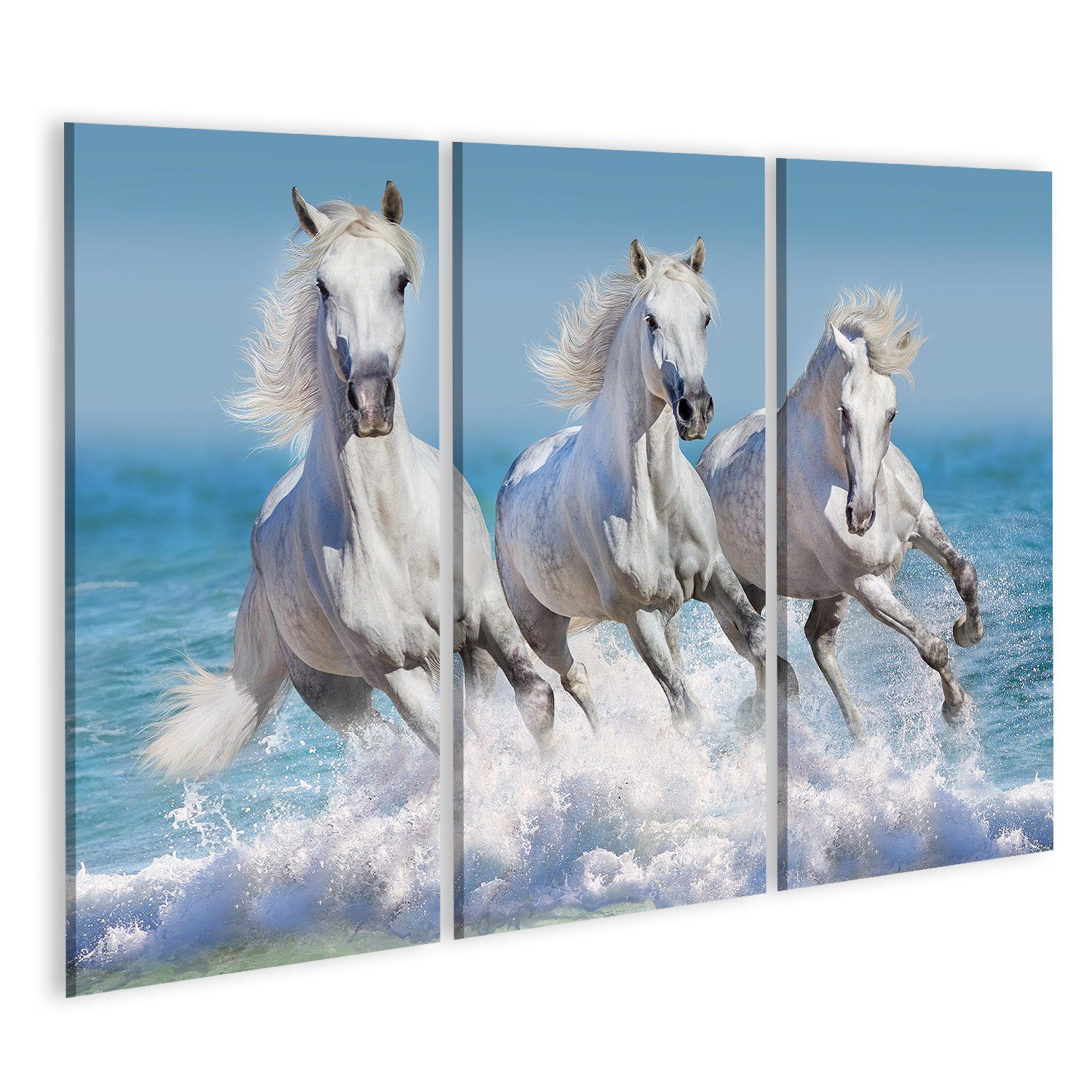 Leinwandbild Bild auf Leinwand Pferde Wasser weißes Pferd Herde laufen Wellen Ozean