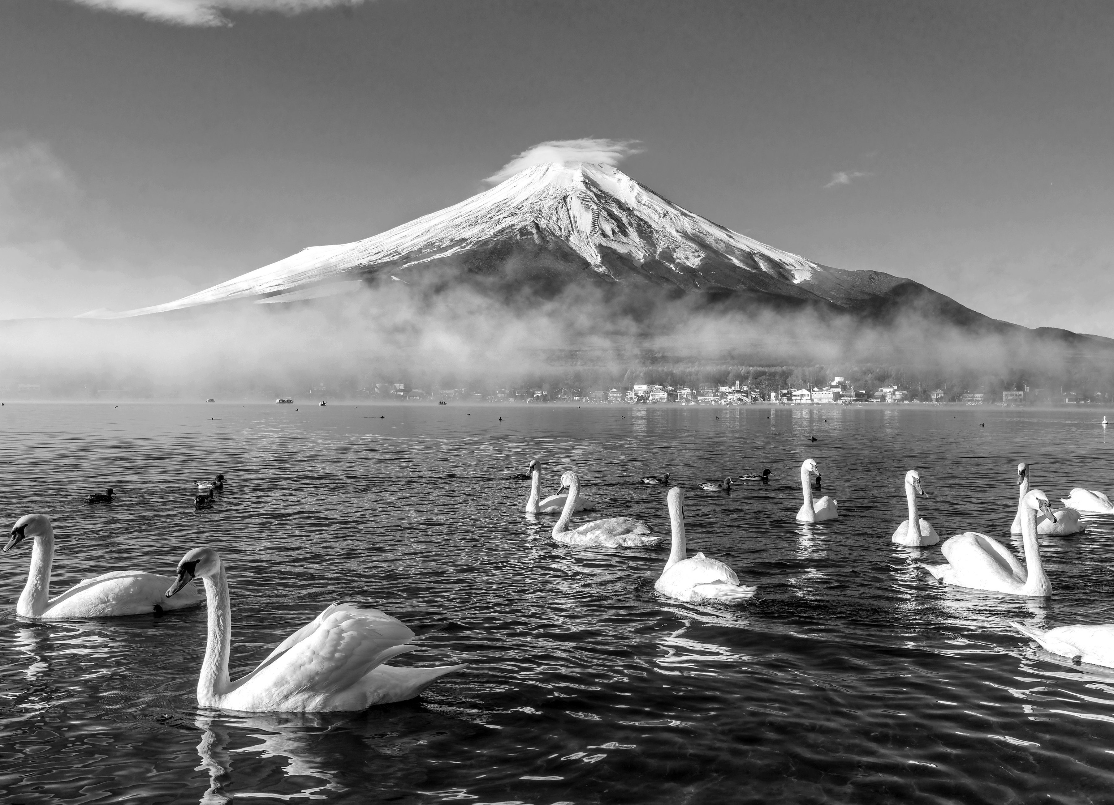 Papermoon Fototapete Mount Fuji mit Schwänen Schwarz & Weiß