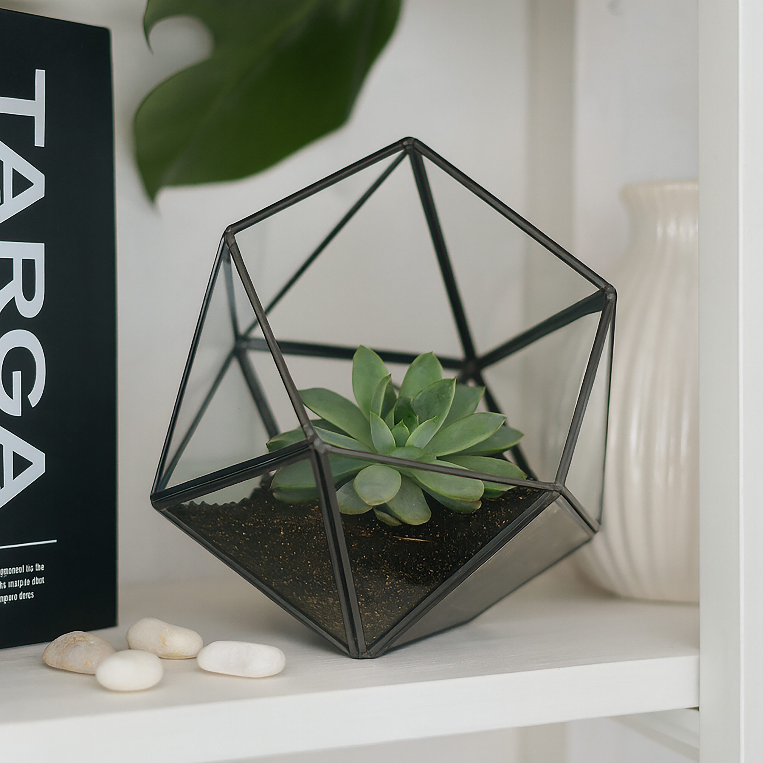 relaxdays Dekovase Geometrisches Pflanzenterrarium aus Glas günstig online kaufen