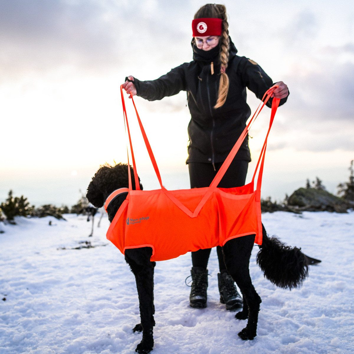 Non-stop dogwear Sicherheitsgeschirr Rettungsschlinge Dog Rescue günstig online kaufen