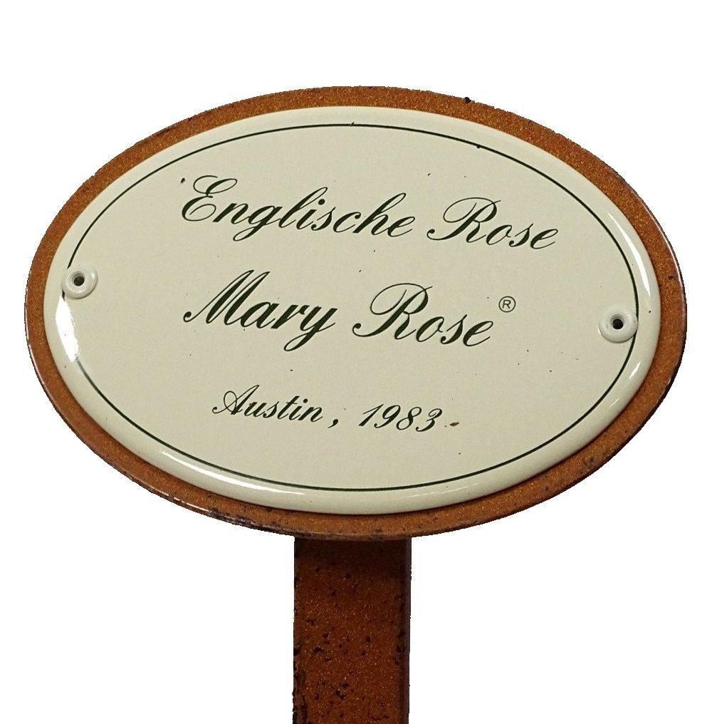 Linoows Gartenstecker Rosenschild Mary Rose Rosenstecker, Englische Rose 1983