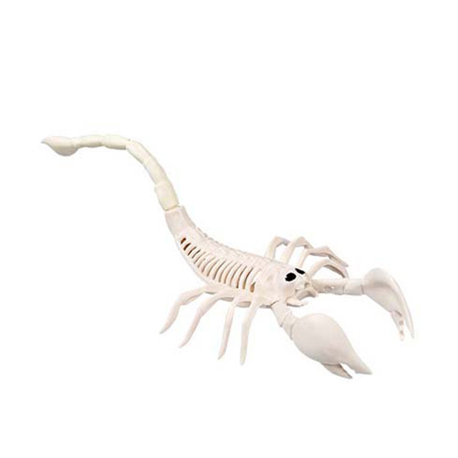 Boland Dekoobjekt Skelett Tiere 5-fach sortiert, Beige - Halloween – Bild 3 von 5