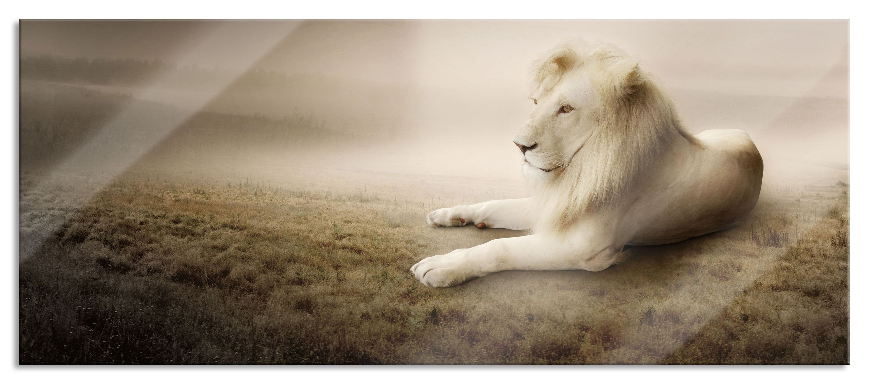 Glasbild Abstandshalter Löwenkönig aus Stolzer (1 und Glasbild weißer Aufhängungen Löwenkönig, Pixxprint inkl. weißer Stolzer St), Echtglas,