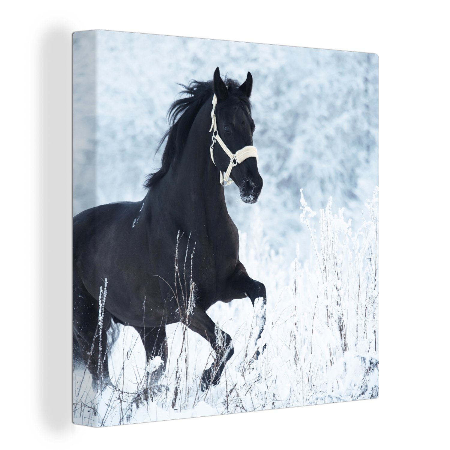 (1 OneMillionCanvasses® Wohnzimmer - Winter, - Schlafzimmer für Leinwand St), Pferd Bilder Schnee Leinwandbild