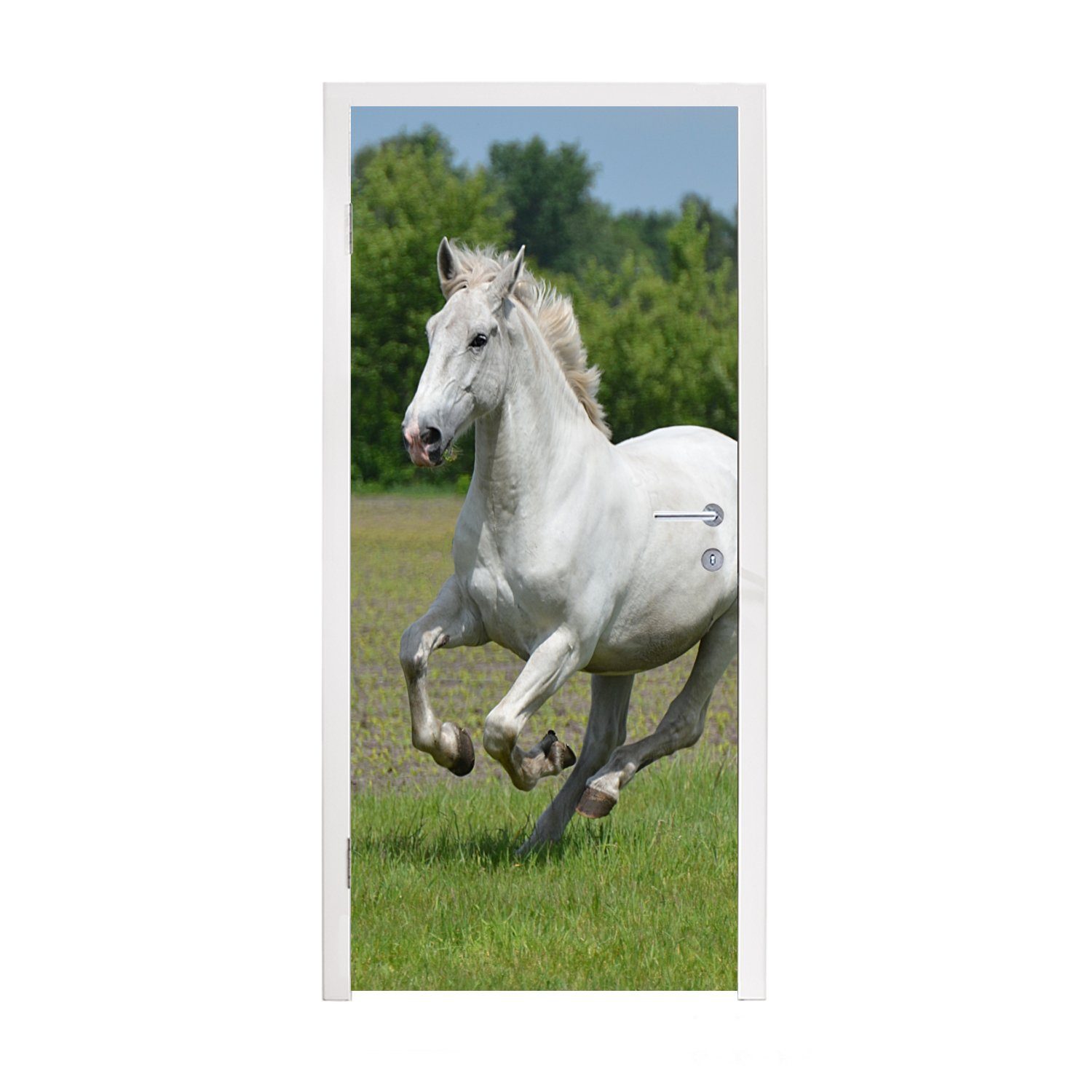 MuchoWow Türtapete Pferde - Natur - Weiß, Matt, bedruckt, (1 St), Fototapete für Tür, Türaufkleber, 75x205 cm