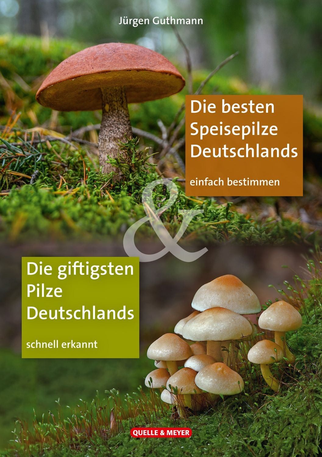 Die besten Speisepilze & Die giftigsten Pilze Deutschlands / Jürgen Guthmann, Einfach bestimmen – schnell erkannt