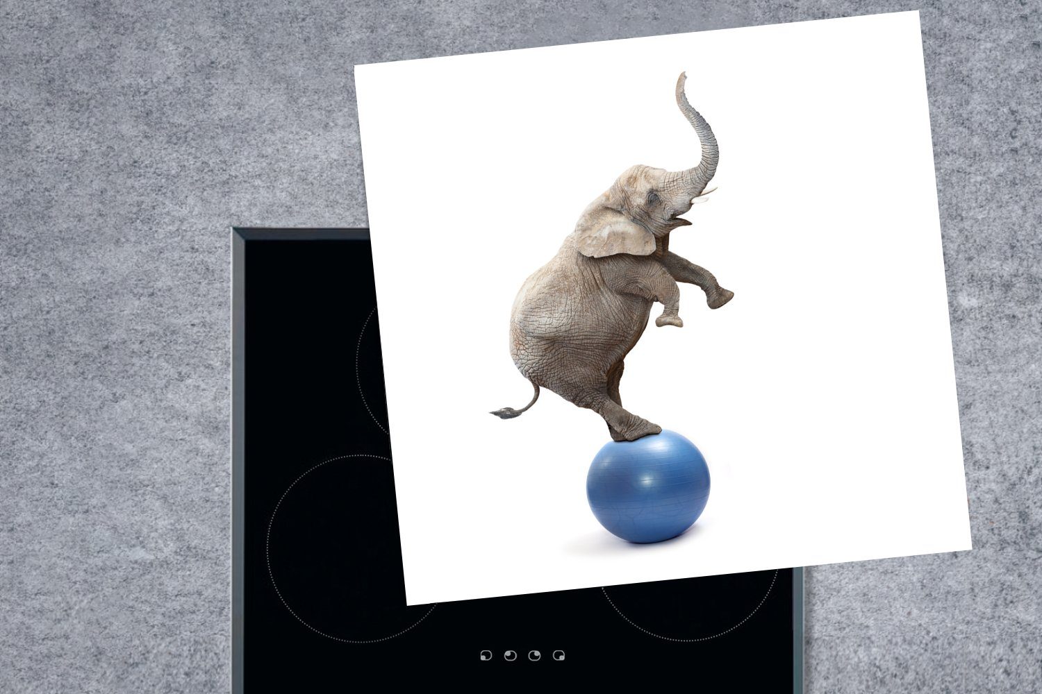 Elefant Blau küche Herdblende-/Abdeckplatte 78x78 Arbeitsplatte - Weiß, - Vinyl, cm, tlg), MuchoWow Ceranfeldabdeckung, (1 für Ball -
