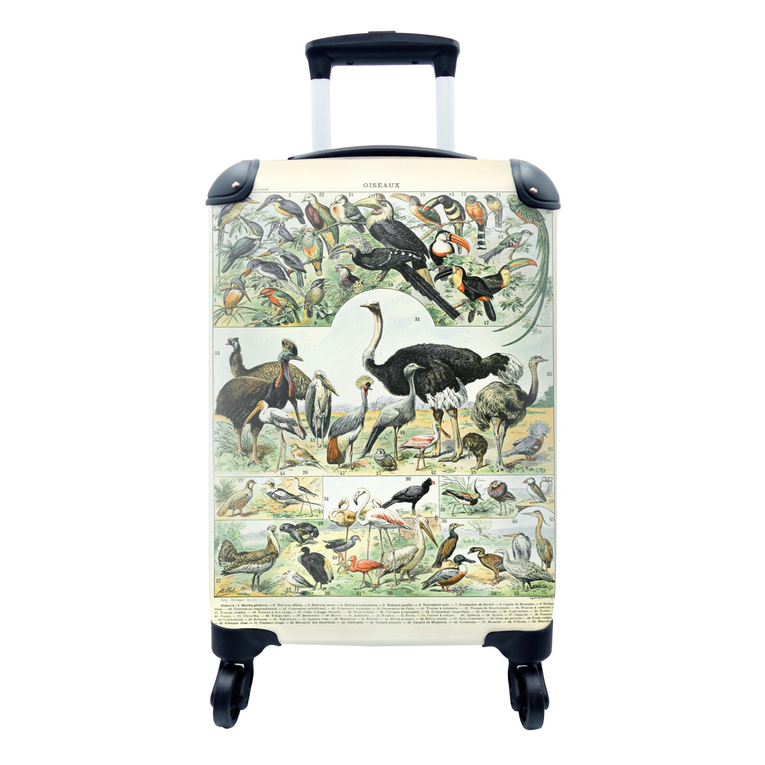 MuchoWow Handgepäckkoffer Tiere - Vögel - Design, 4 Rollen, Reisetasche mit rollen, Handgepäck für Ferien, Trolley, Reisekoffer