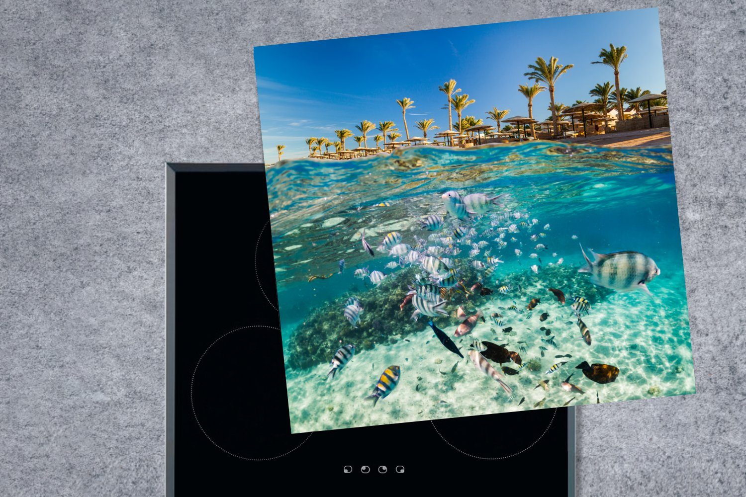 Ägypten, cm, tlg), Ceranfeldabdeckung, MuchoWow 78x78 (1 Arbeitsplatte Vinyl, - küche Herdblende-/Abdeckplatte Fisch Meer für -